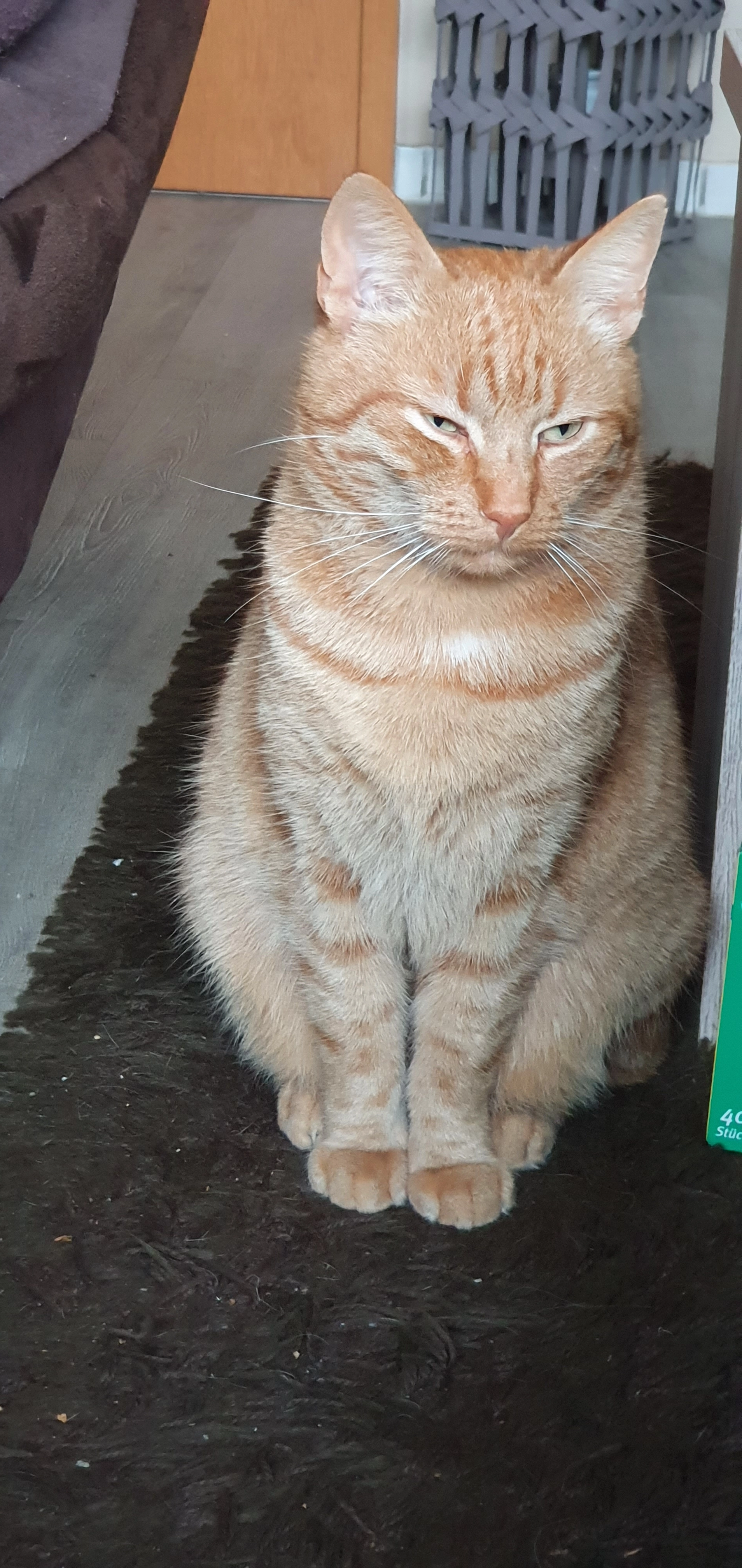 TOM - Im Dahl, Schalksmühle