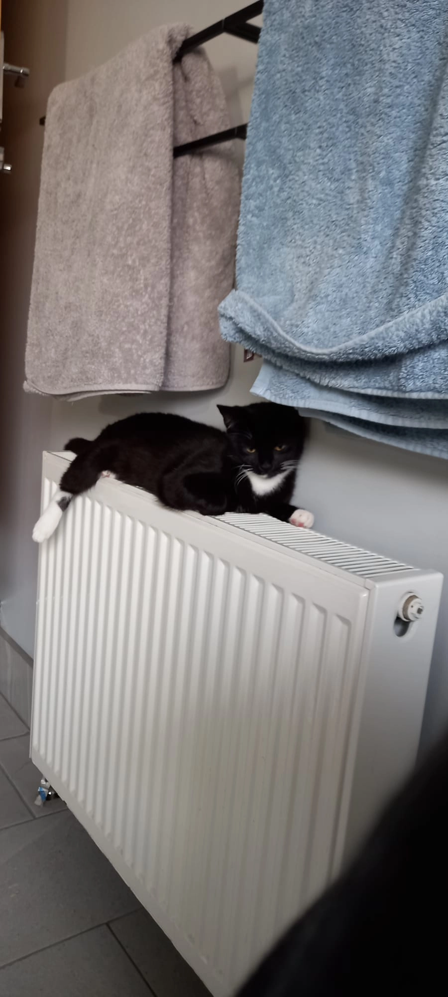 Cora - 24 Swinnerton Street, Crewe