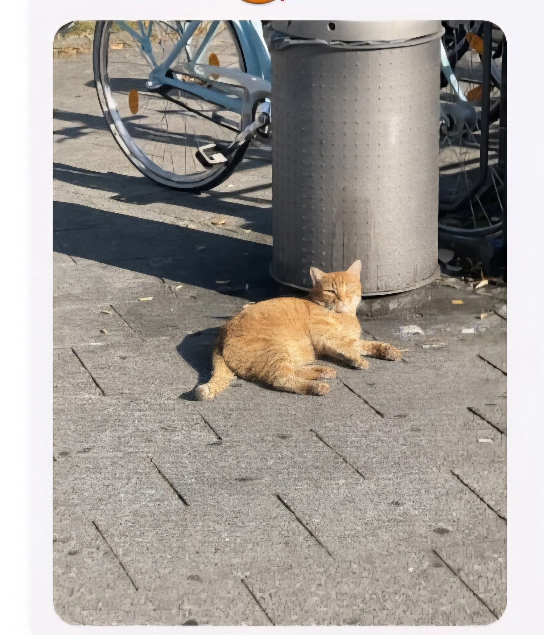 Max - Kieferngartenstraße, München