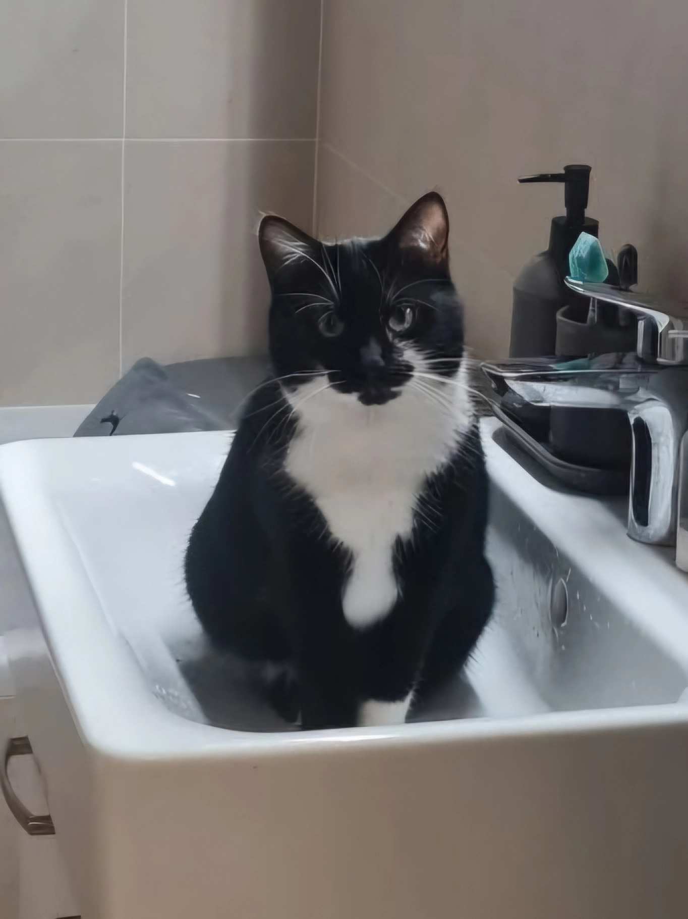 Šeri - Učňovská 2, Praha