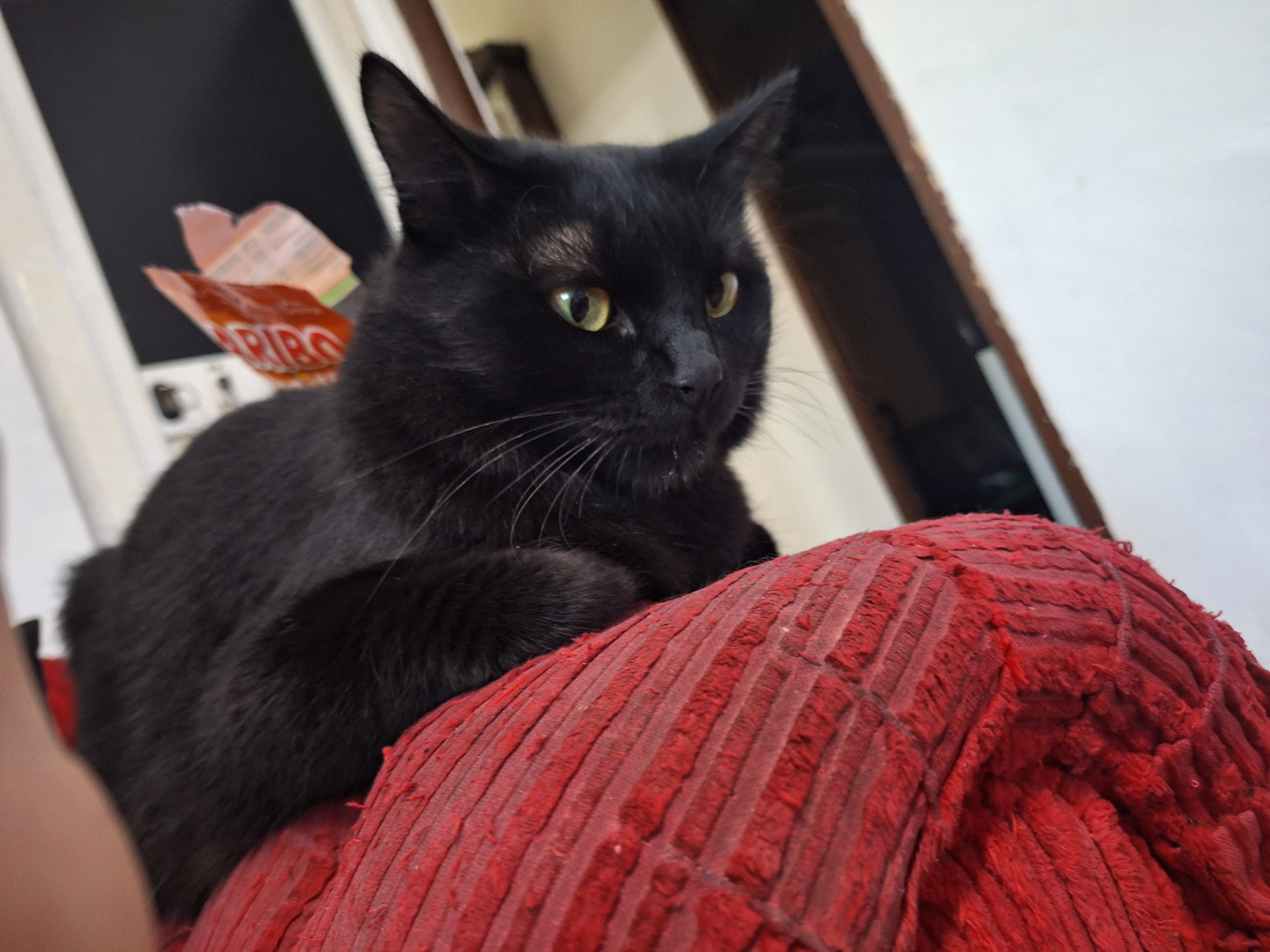 Mate - Calle Alcรบdia, Camas