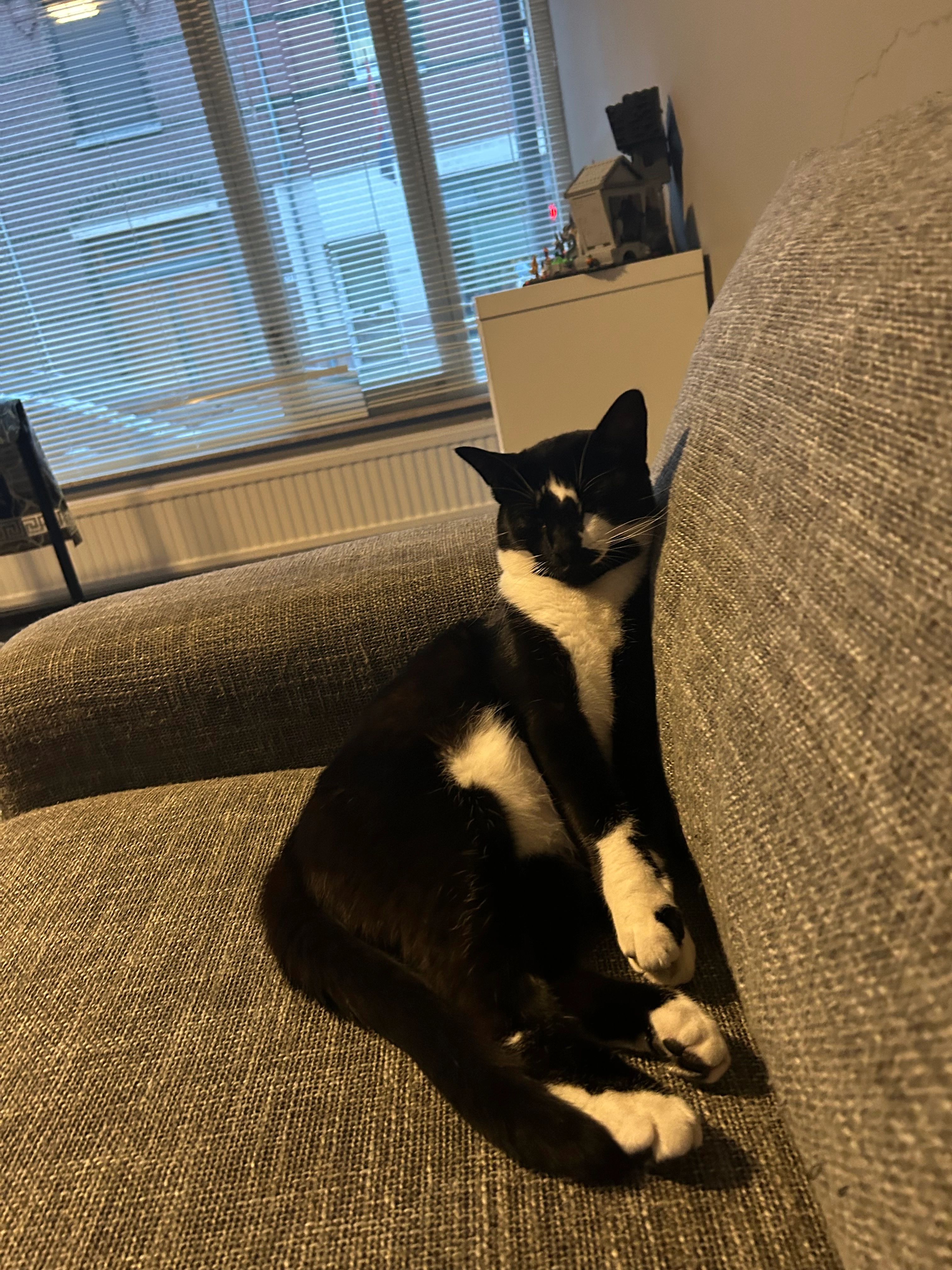 Romeo - Tegelseweg, Venlo