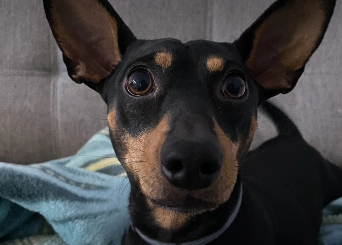 Tokio - Camino De Valdemoro, Pinto