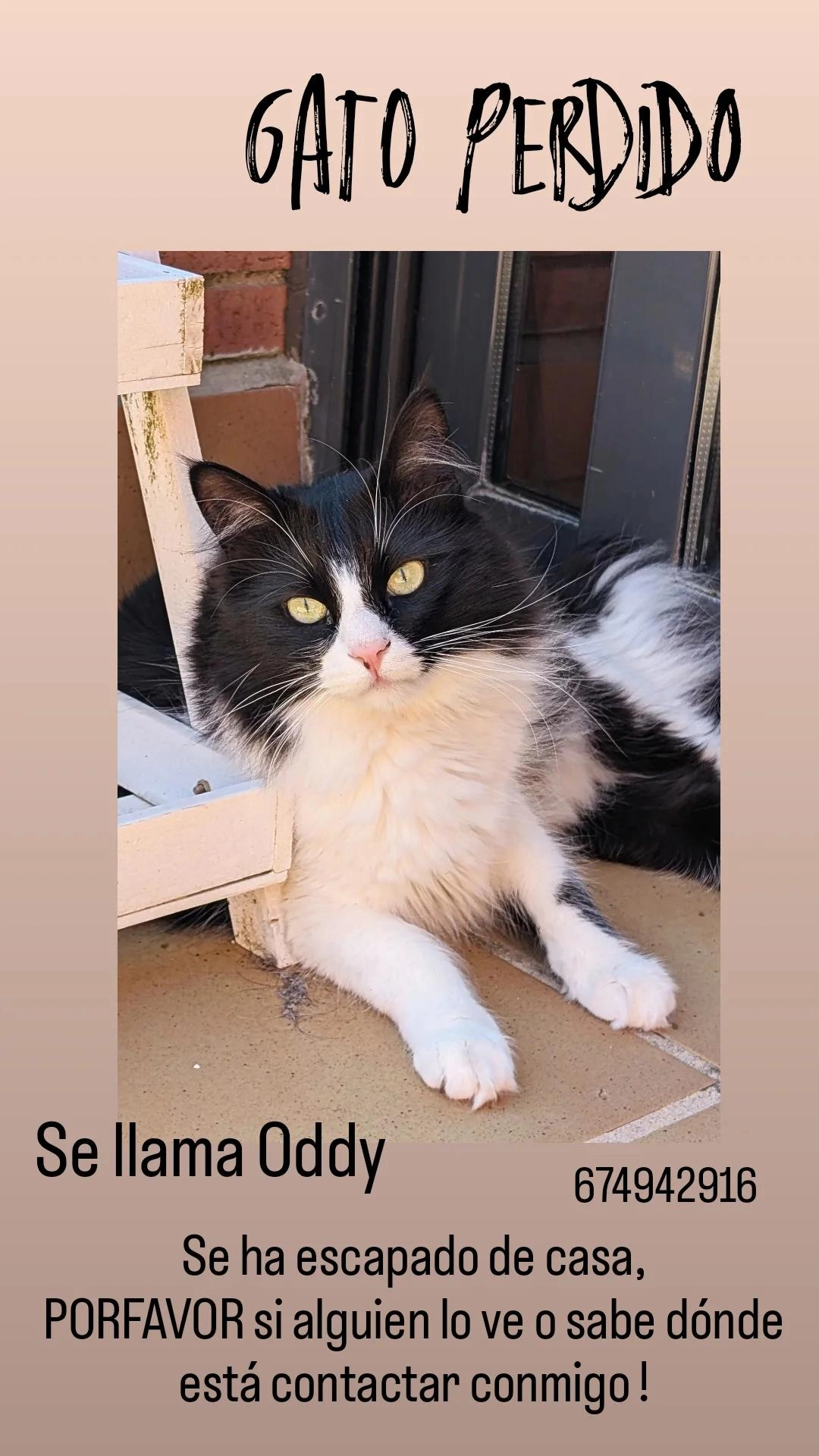 Oddy - Carrer de la Maquinista, Barcelona