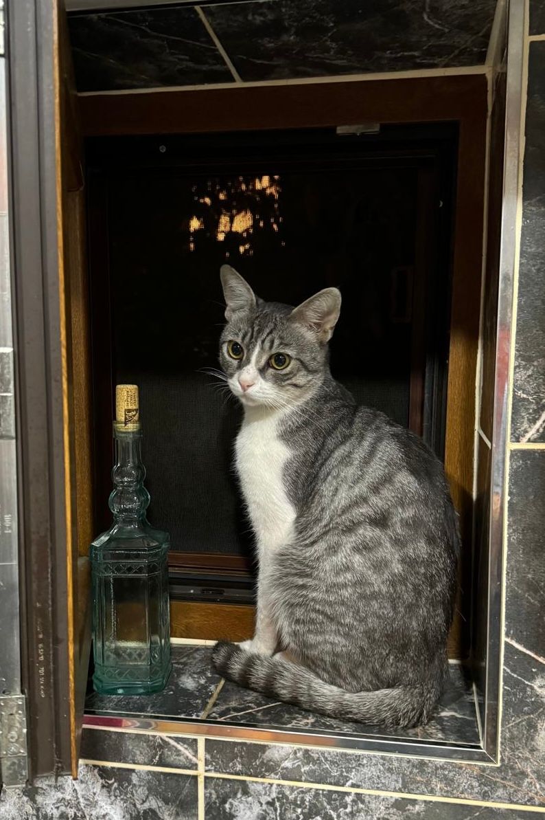 Don Kişote - İcadiye Hamamı Sokağı, Istanbul