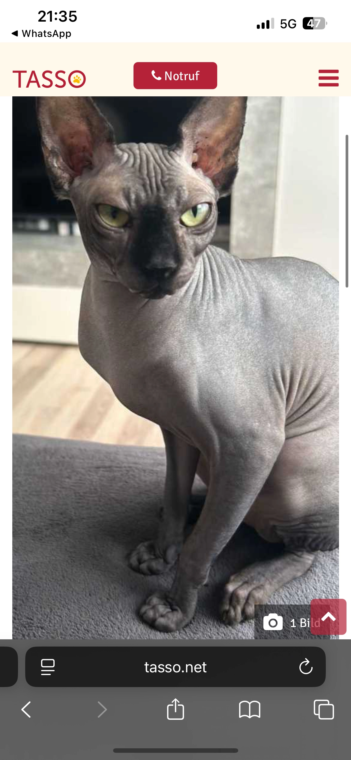 Leysan - Am Röhrbach, Gütersloh