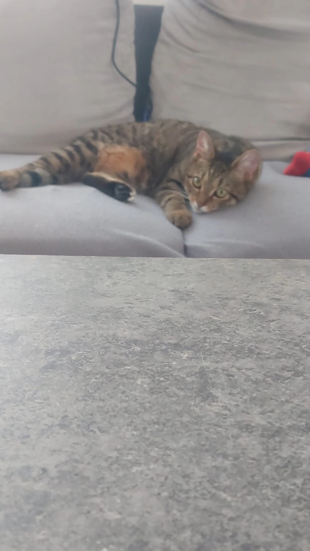 Freya - Lönsstraße, Vlotho