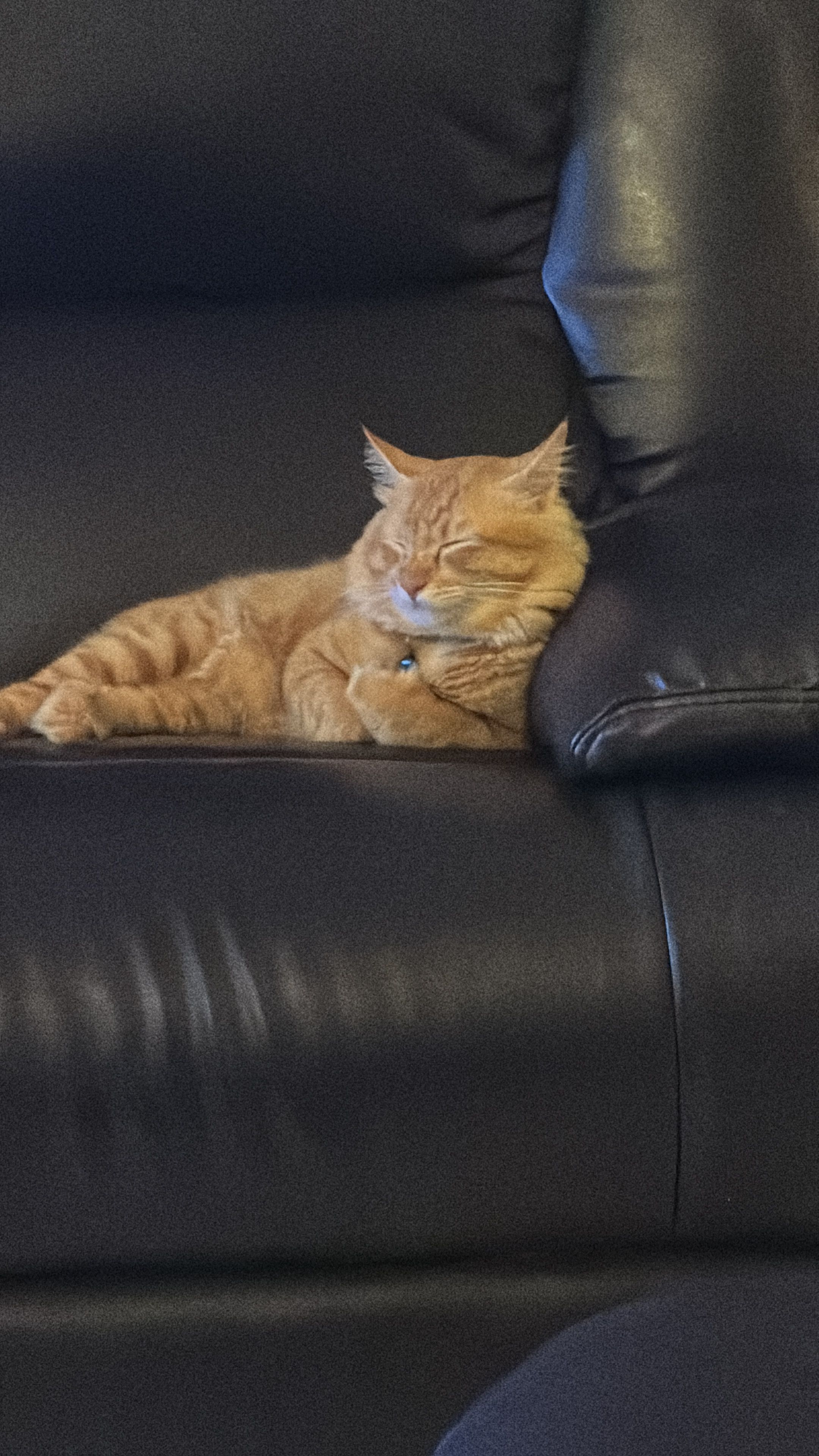 Sathda - Jalan Simpang Ampat, Bukit Tambun