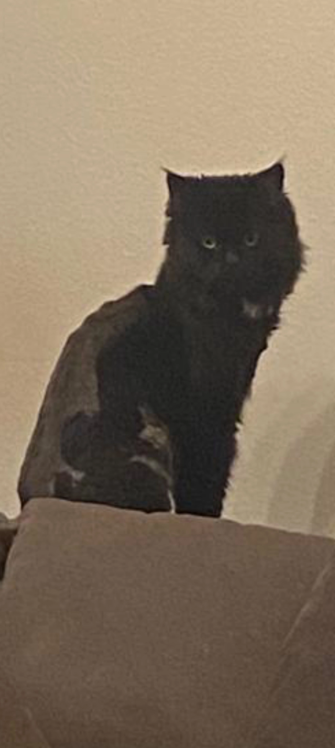 Azrael  - Route des Préalpes 6, Marly