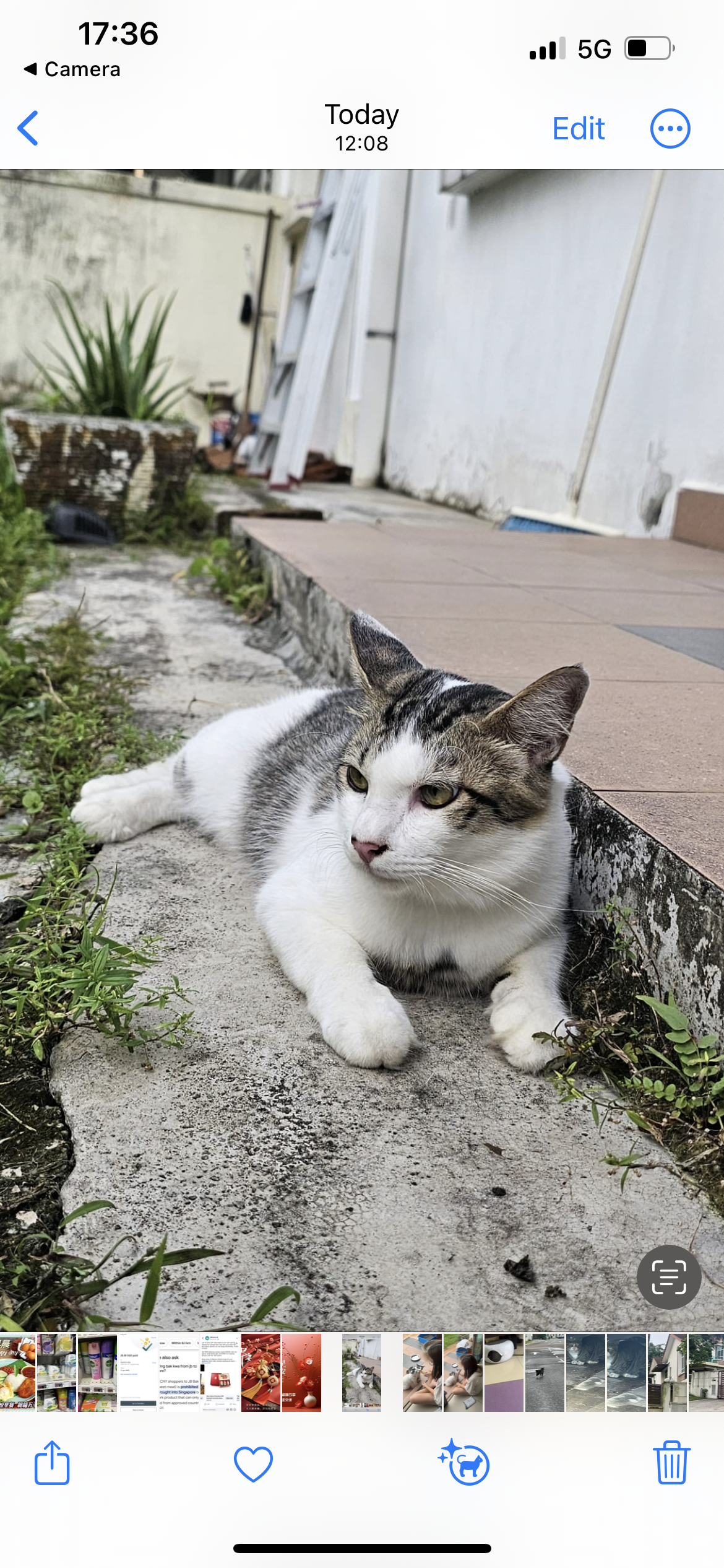 Coco Bear  - 79100, Nusajaya