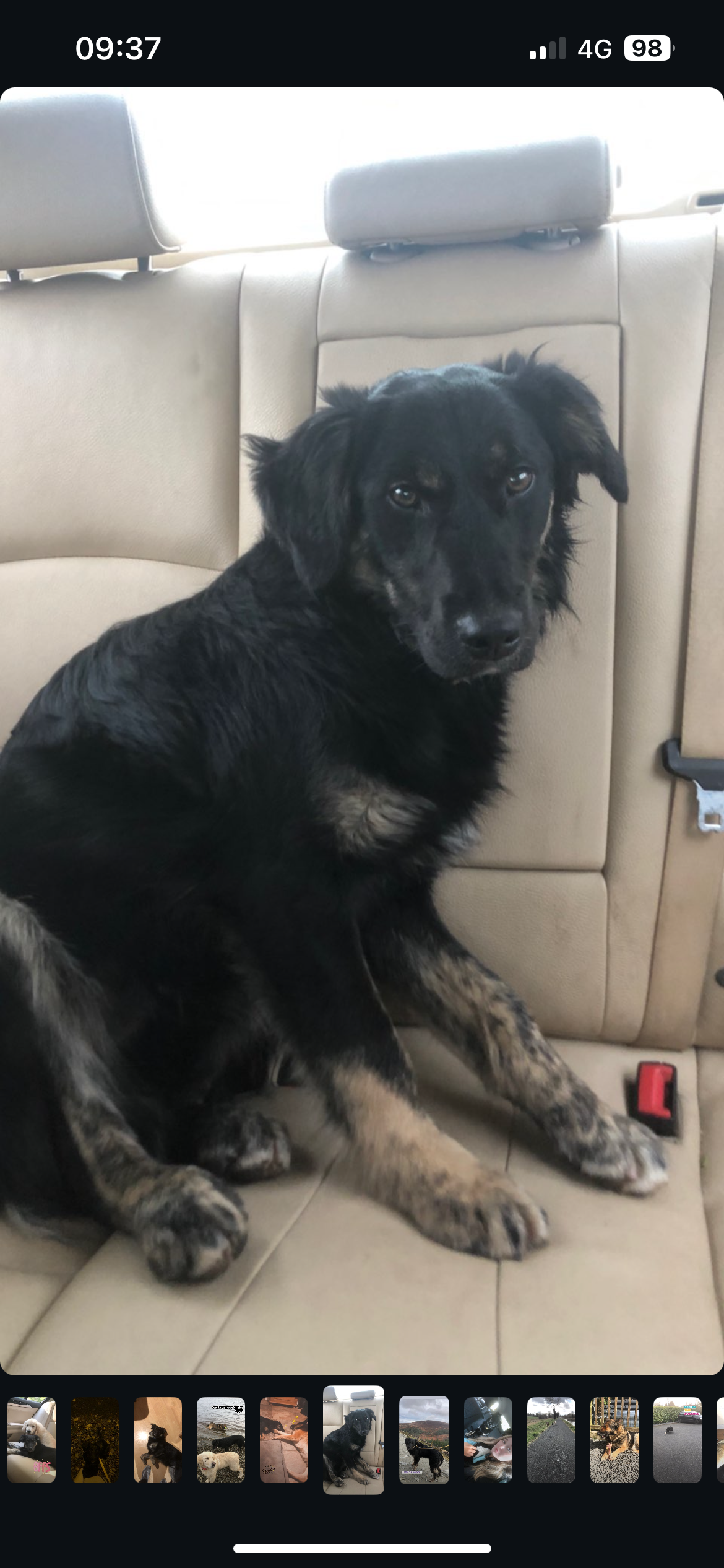 Bailey - Blacktrench Road, Oldconnell