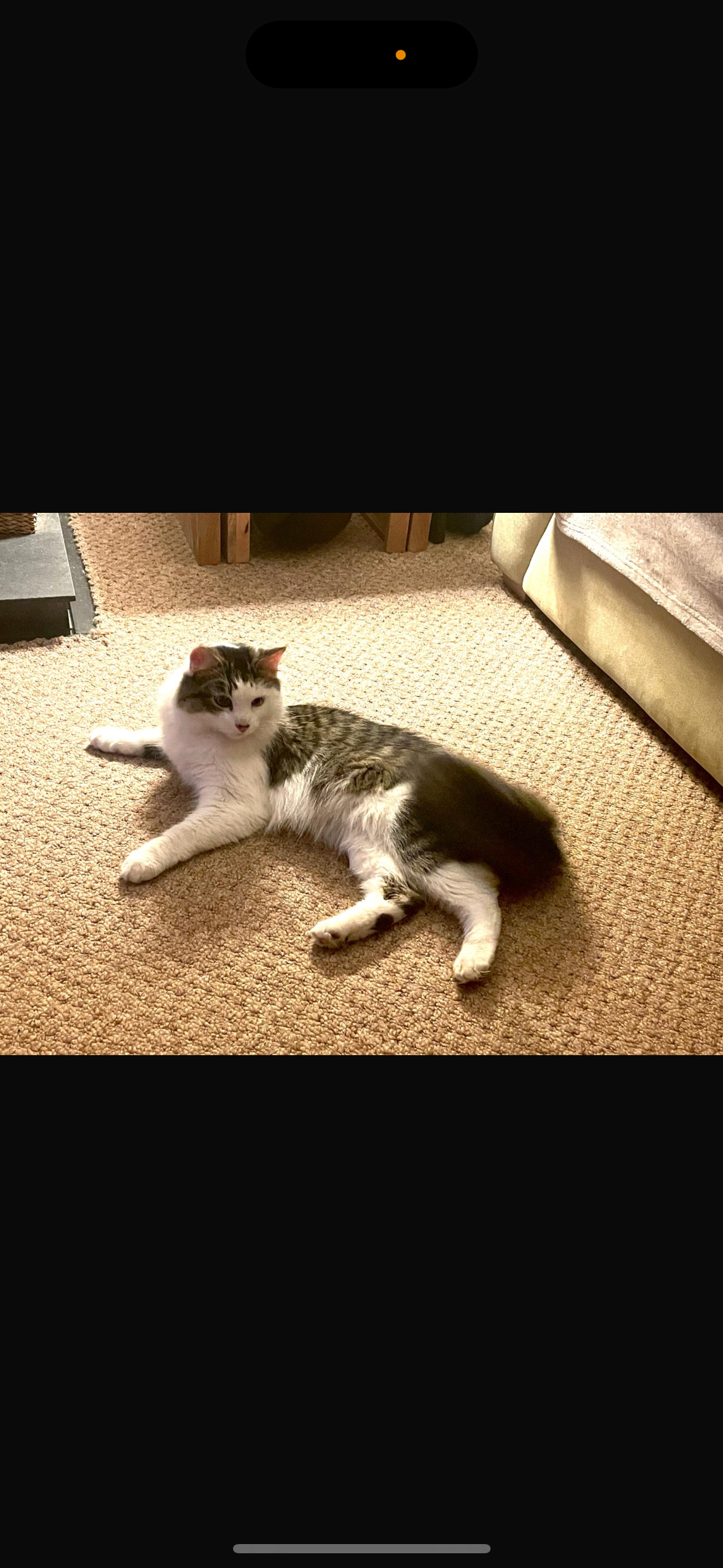 Trendle  - Emmanuel Avenue, Great Yarmouth