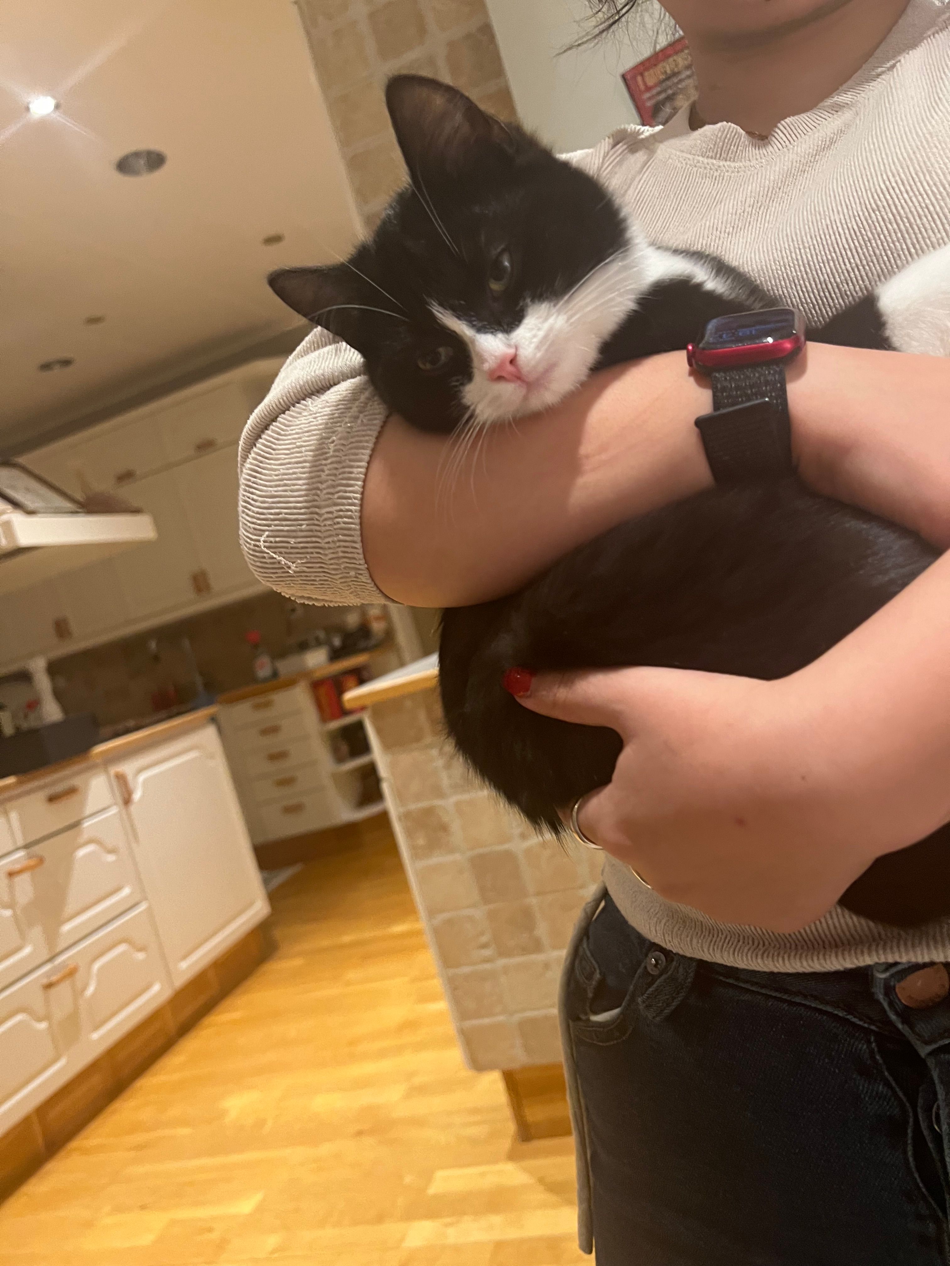 Nanoo  - Dalagårdsvägen, Kullavik