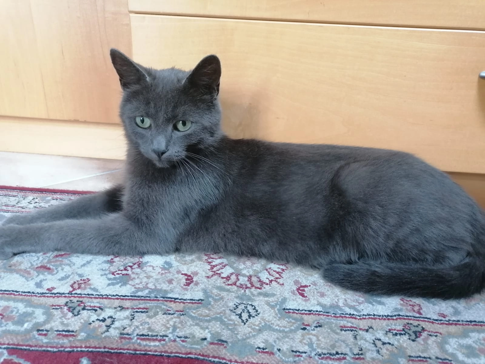 Balu - Salzstraße 9, Flaurling