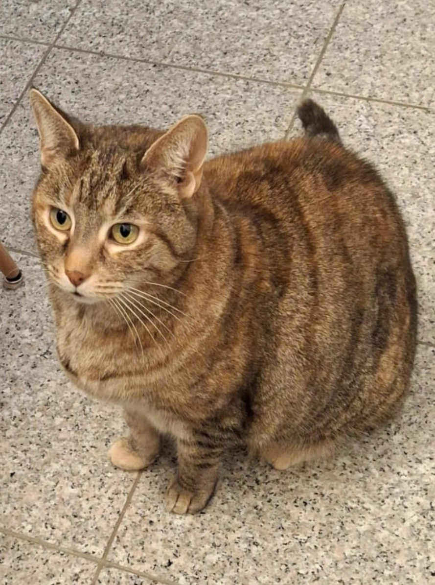 Fee - Entenseestraße, Rückersdorf