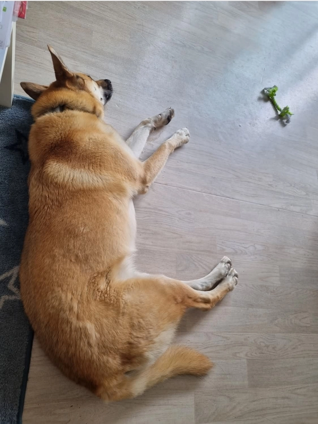 Je ne sais pas retrouvé  par unet - Route De La Villès Mollé, Saint-Nazaire