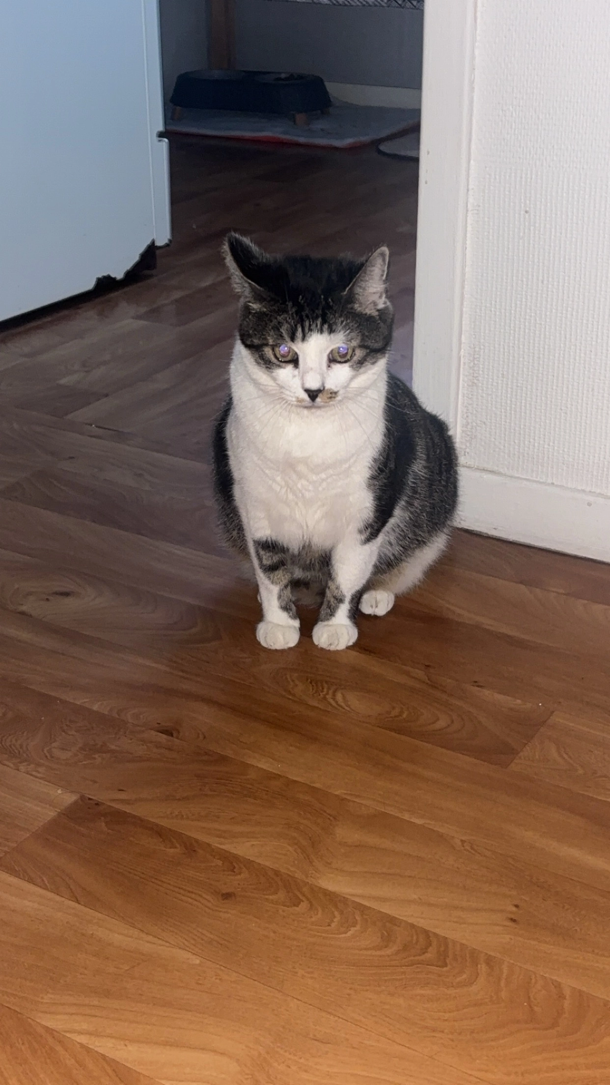 Mimi - Rue Giuseppe Verdi, Beauvais