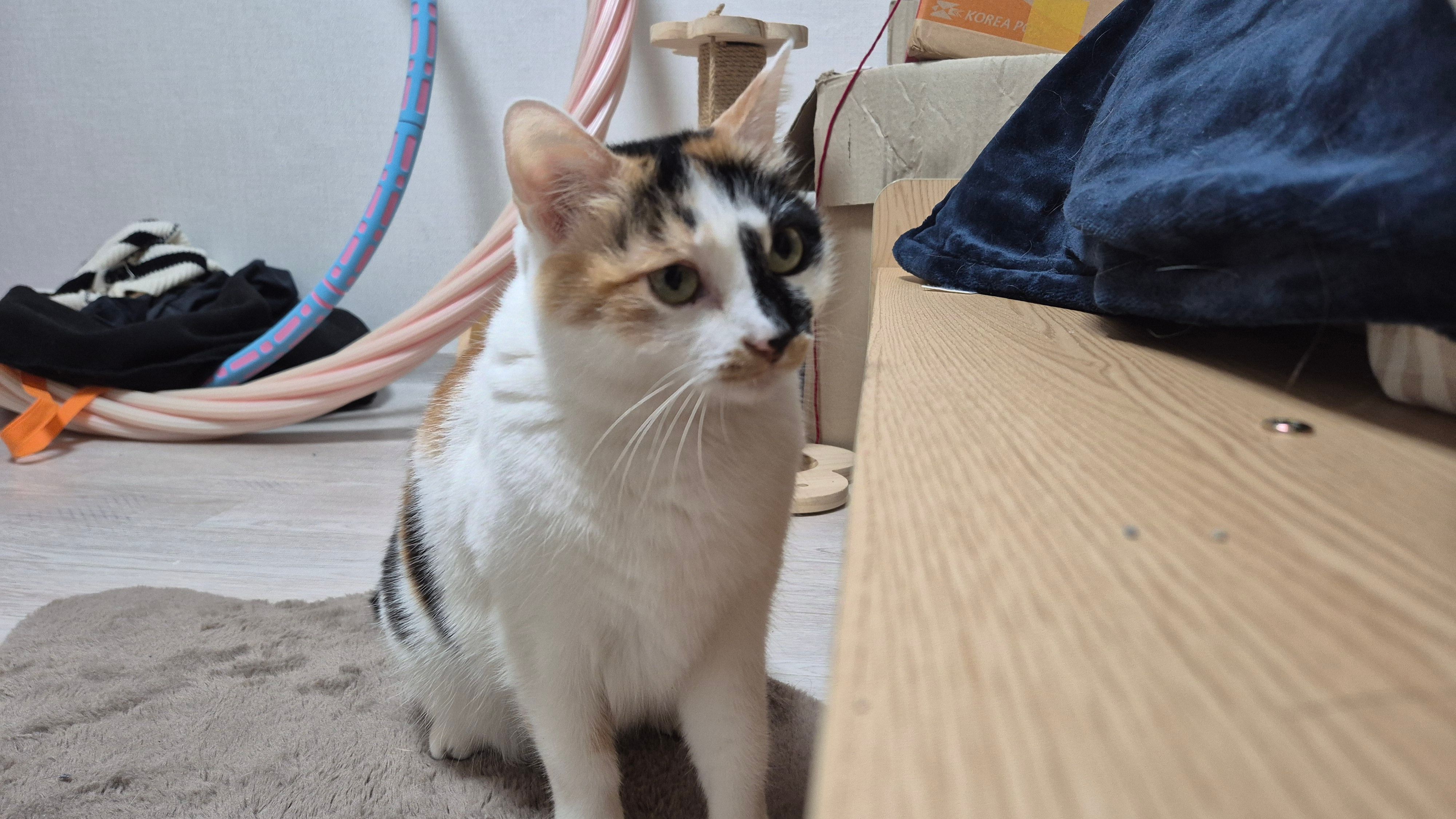 Nabi 나비 - Chorongmaeul-ro 22-gil, Seoul