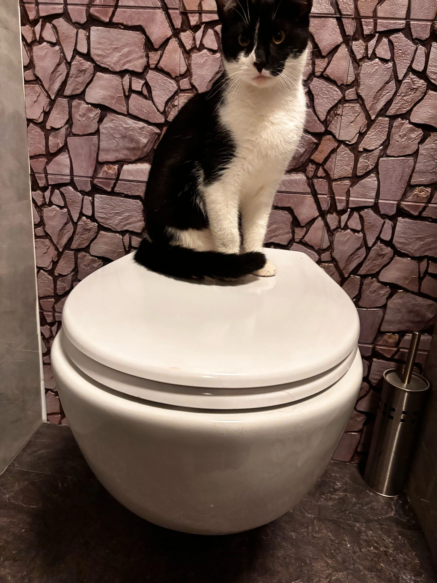 Ymmes - Reahel, Augustinusga