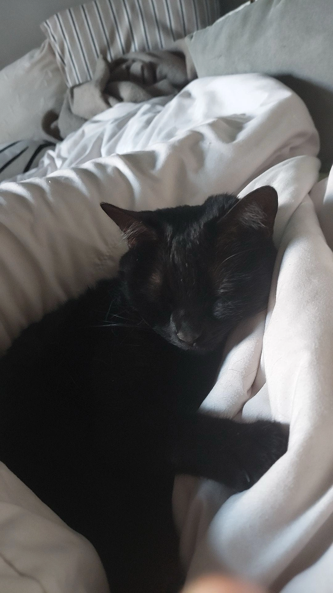 Kiara  - Wiesengasse, Innsbruck