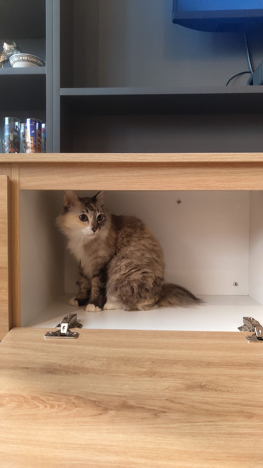 Bella  - 71950, Seremban