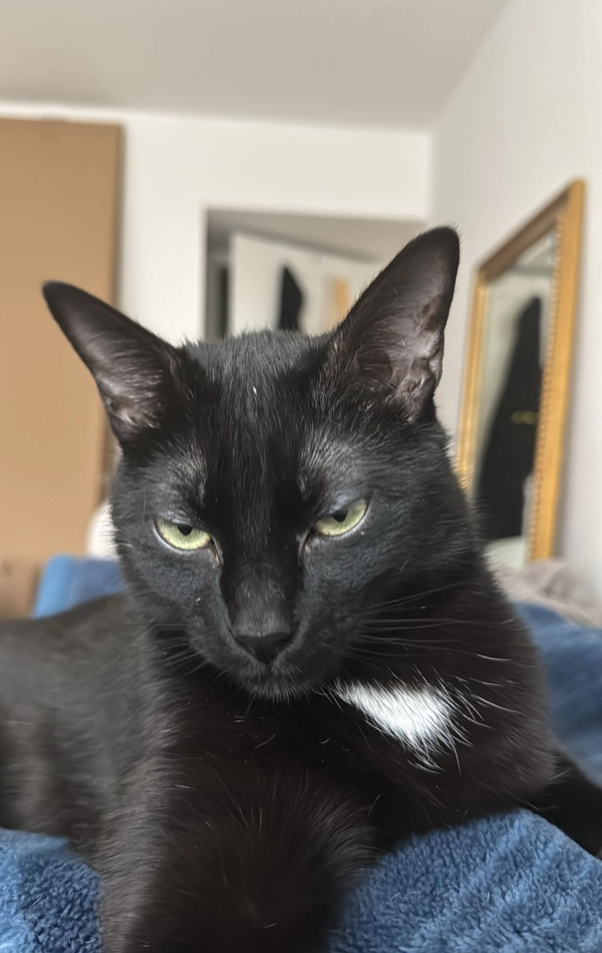 Loki - Hochstrasse 101, Pfäffikon