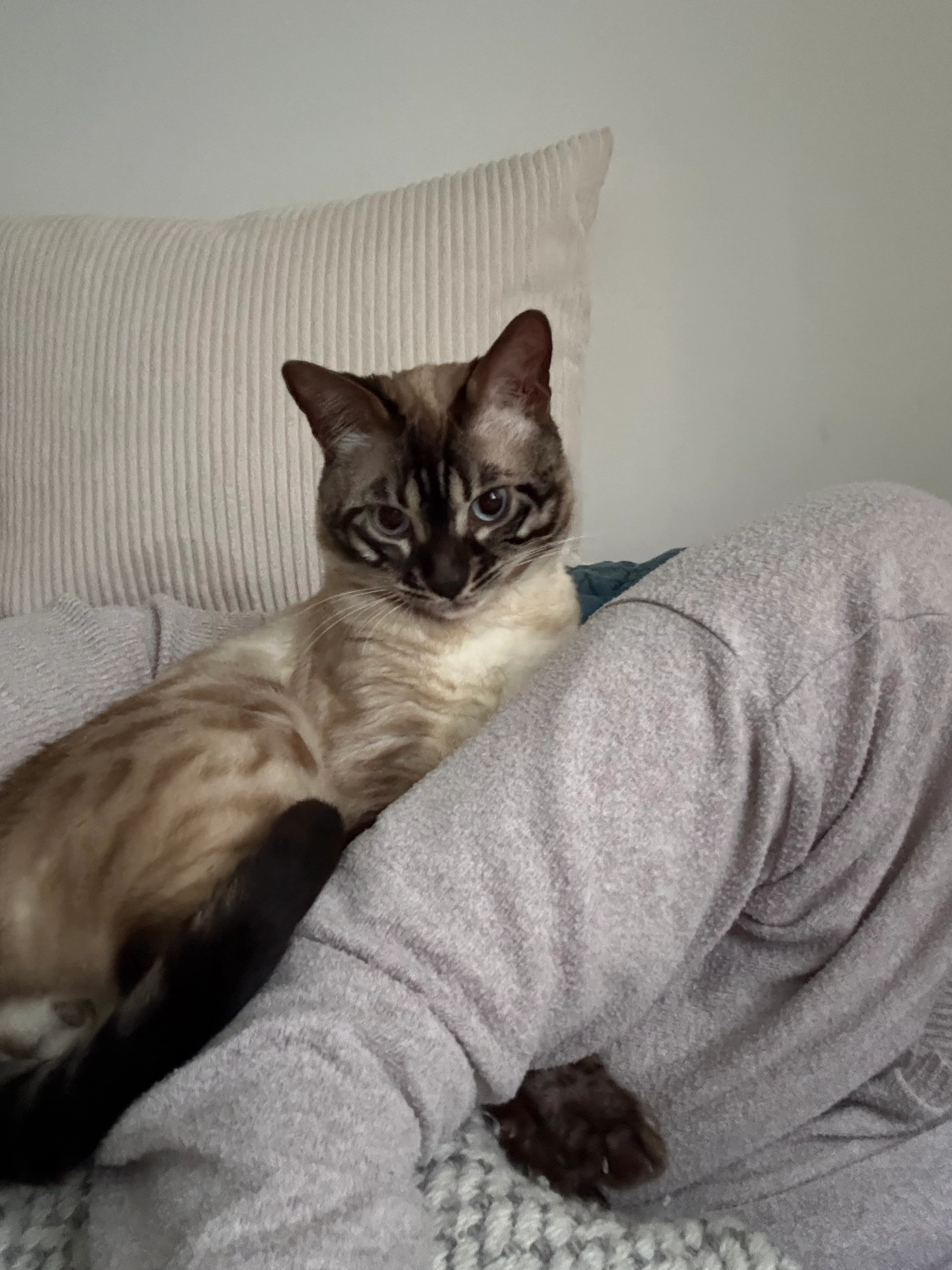 Snow - Schwenckestraße 47, Hamburg