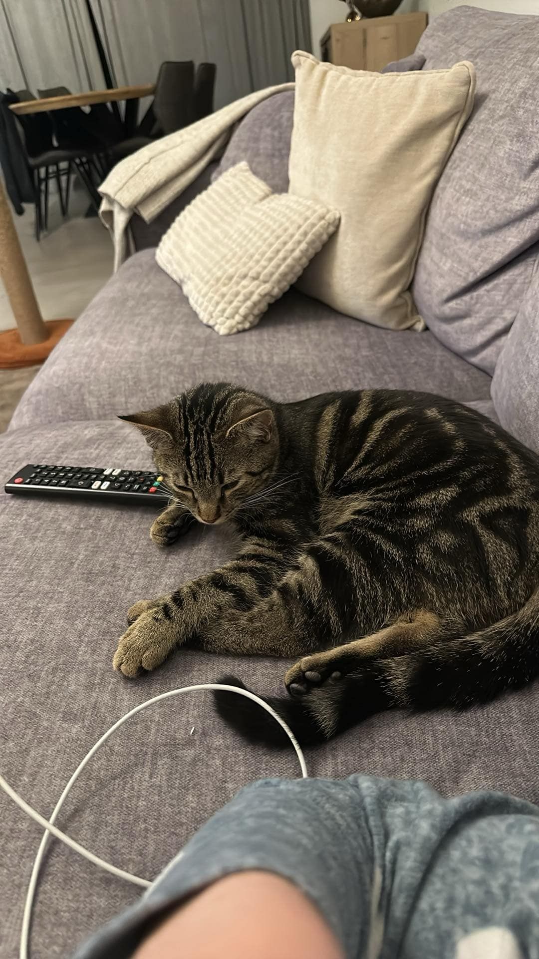 Ollie - Kwellestraat 6A, Langemark-Poelkapelle