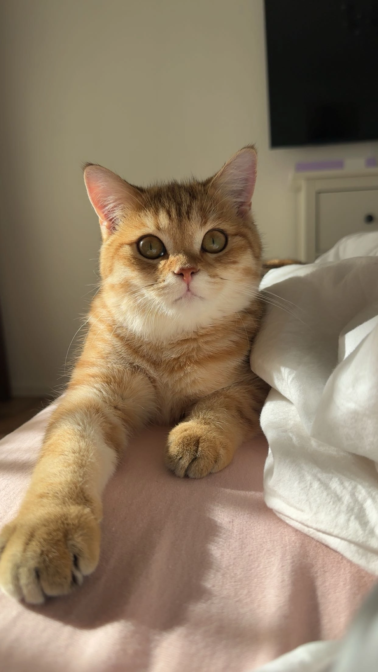 Boni - Alte Hellersdorfer Straße 119, Berlin