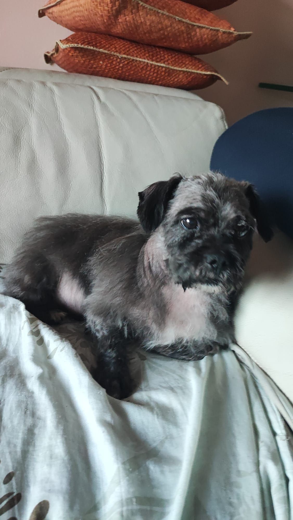 pom - Sit Azinheiro, Estoi