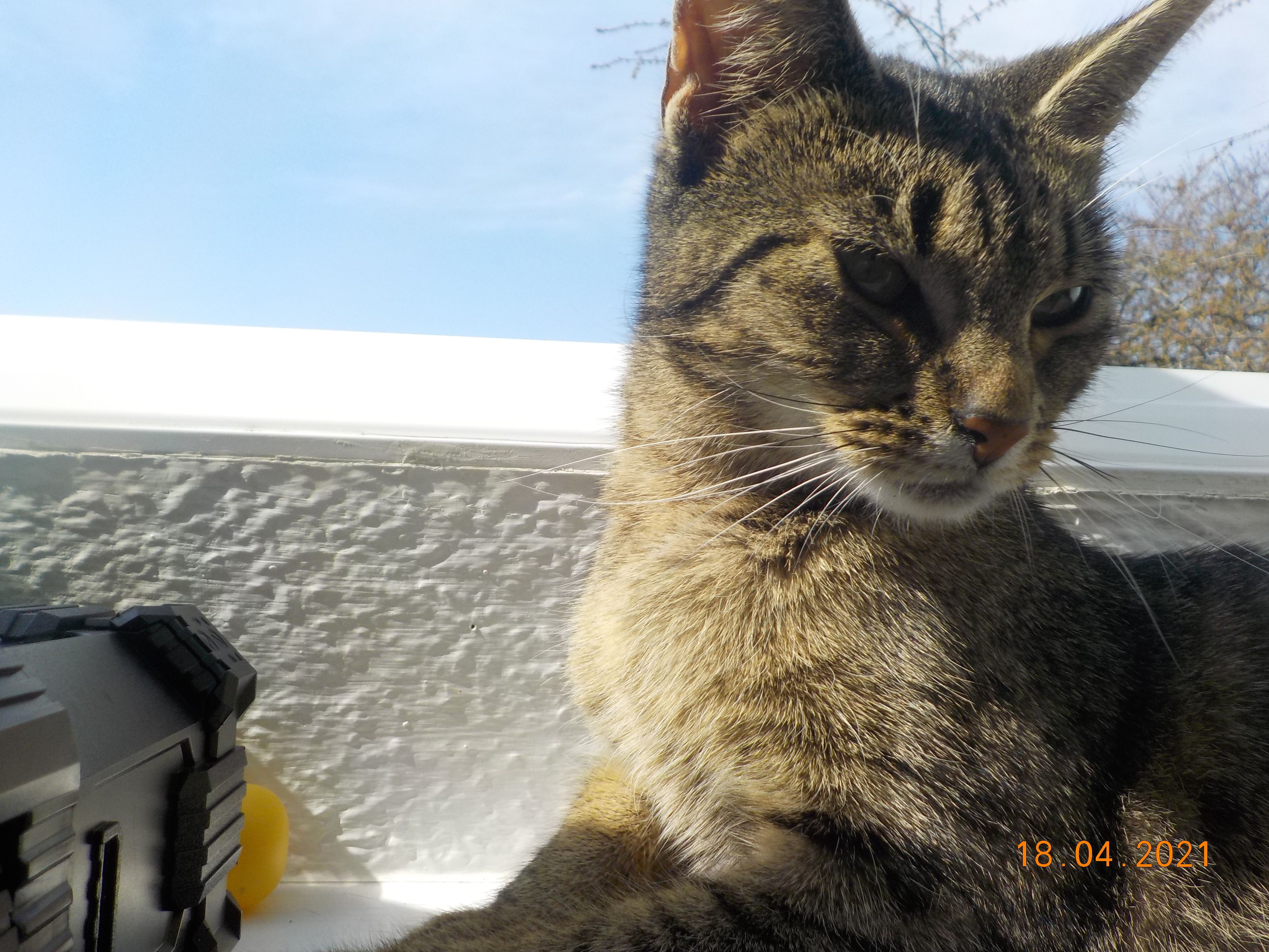 Mina - Hauptstraße, Dannau