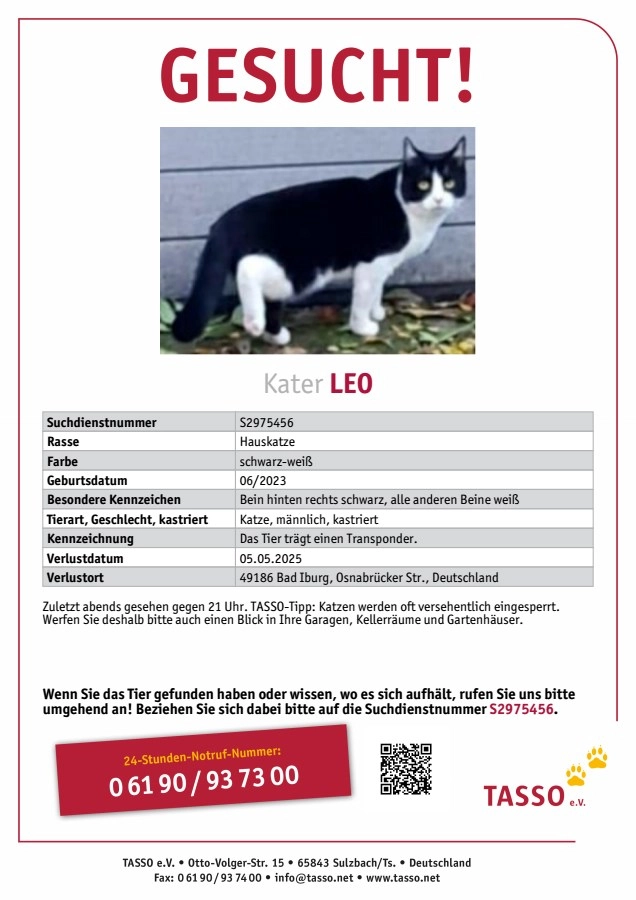 Leo - Pestalozzistraße, Bad Iburg