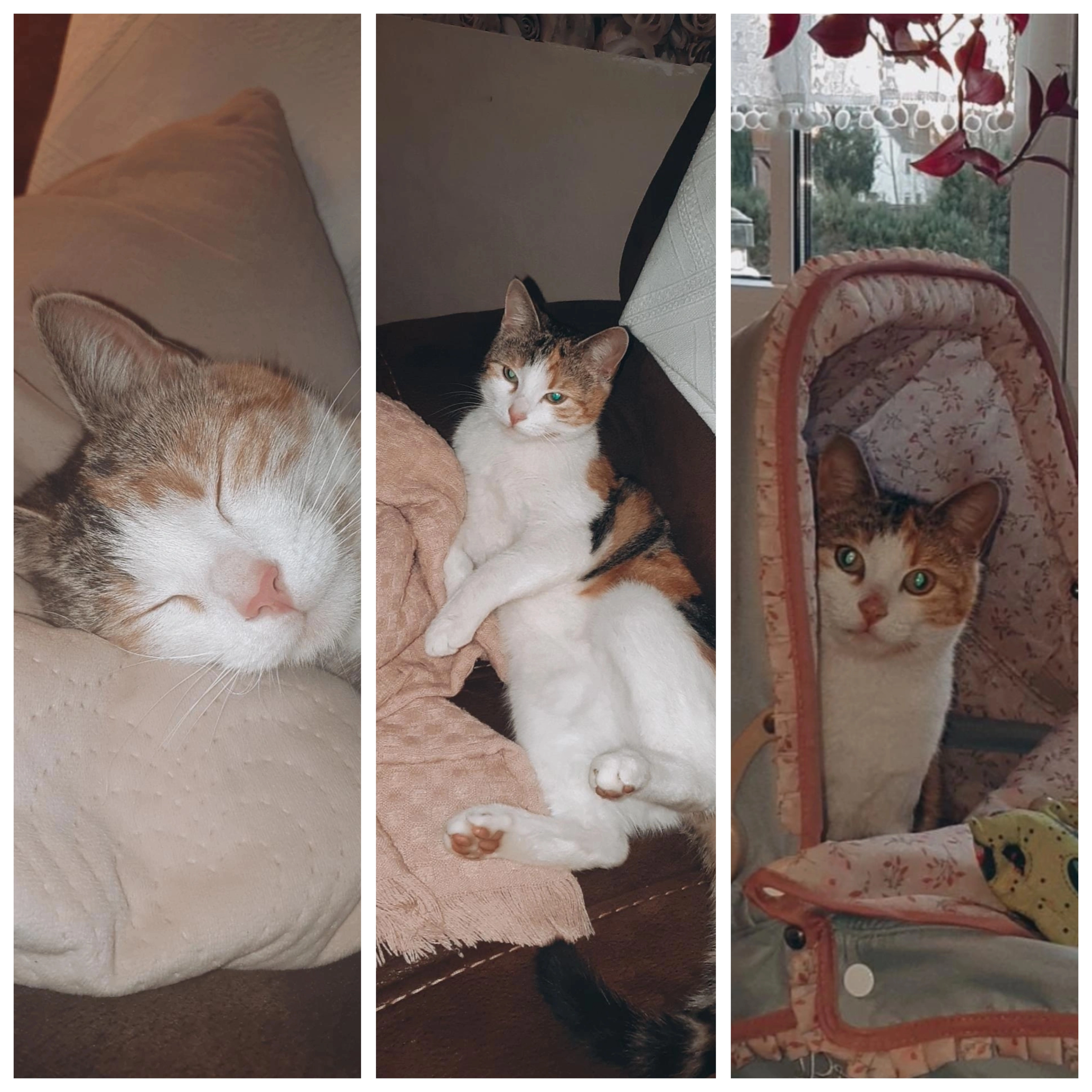 Hilde - Alte Post, Rechlin