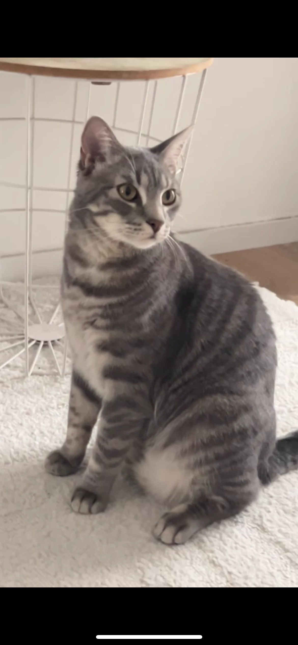 Bandit  - 4 Boulevard Jacques Portet, Angers