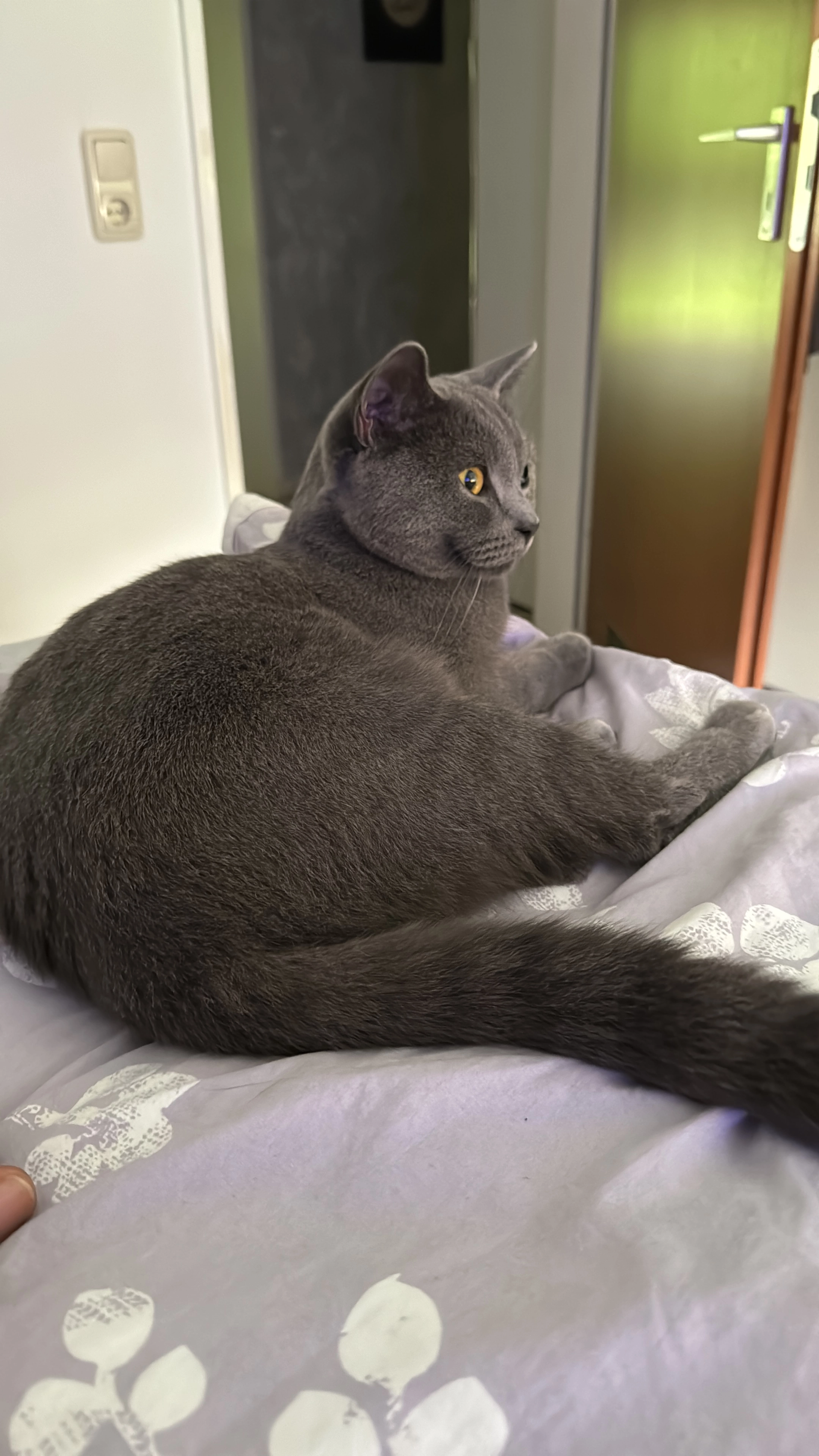 Kuylum - Ziegeleistraße, Augsburg