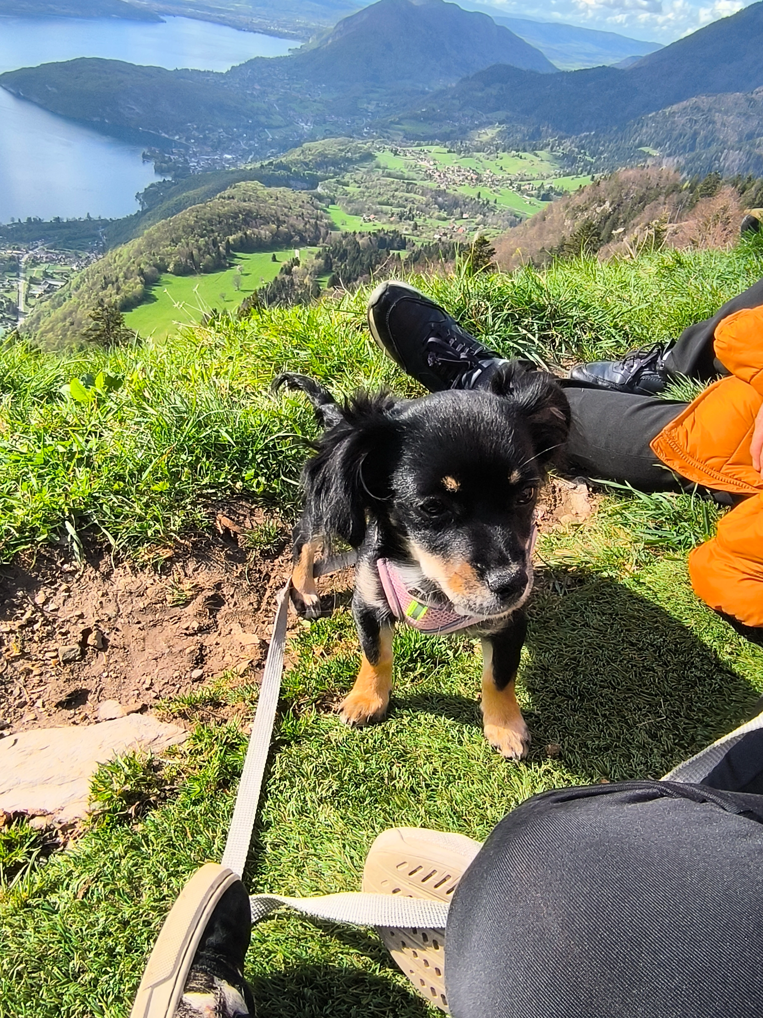 Vaya - 32 Rue du Docteur Cotoni, Saint-Étienne-du-Rouvray