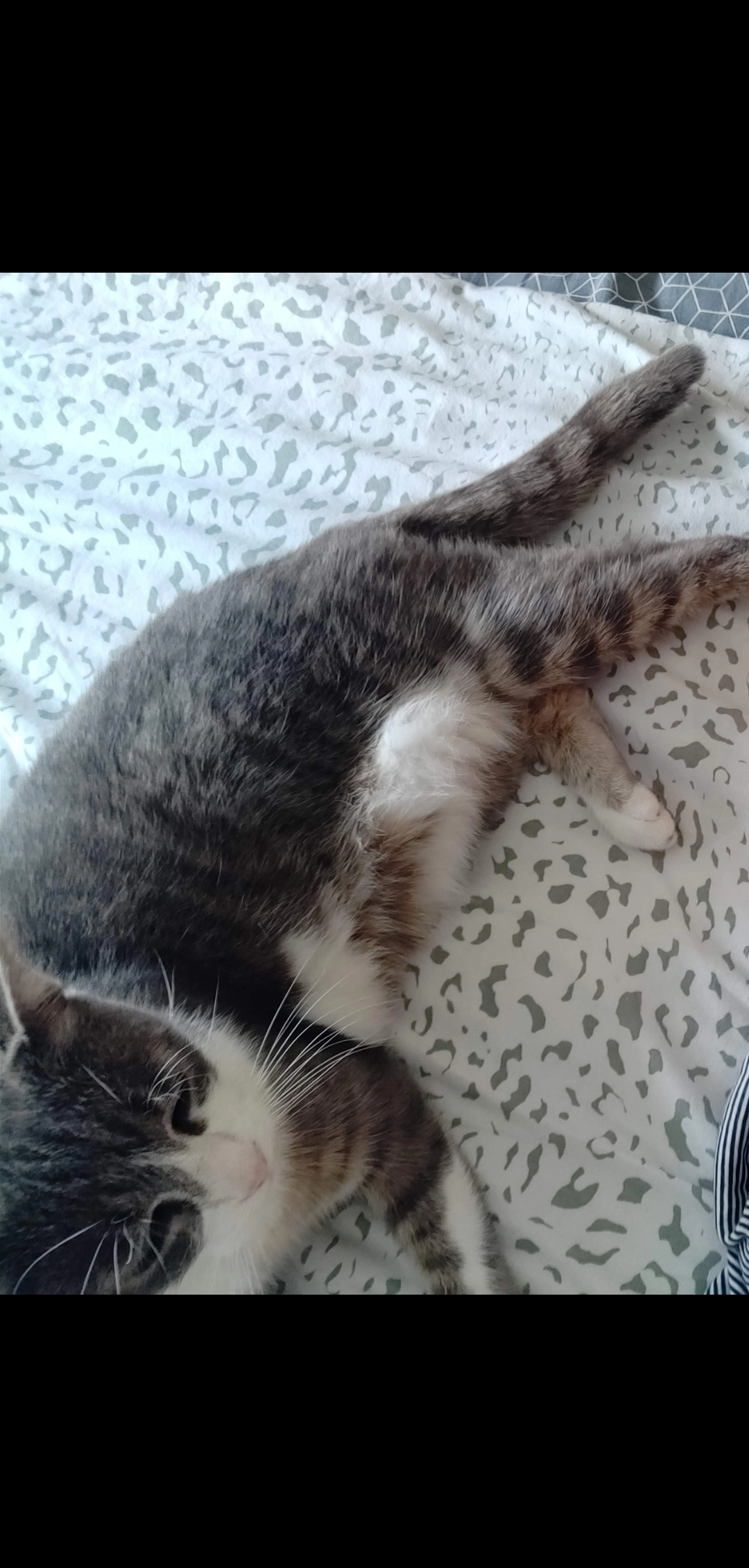 Arya - 20 Route du Bouriou, Briatexte