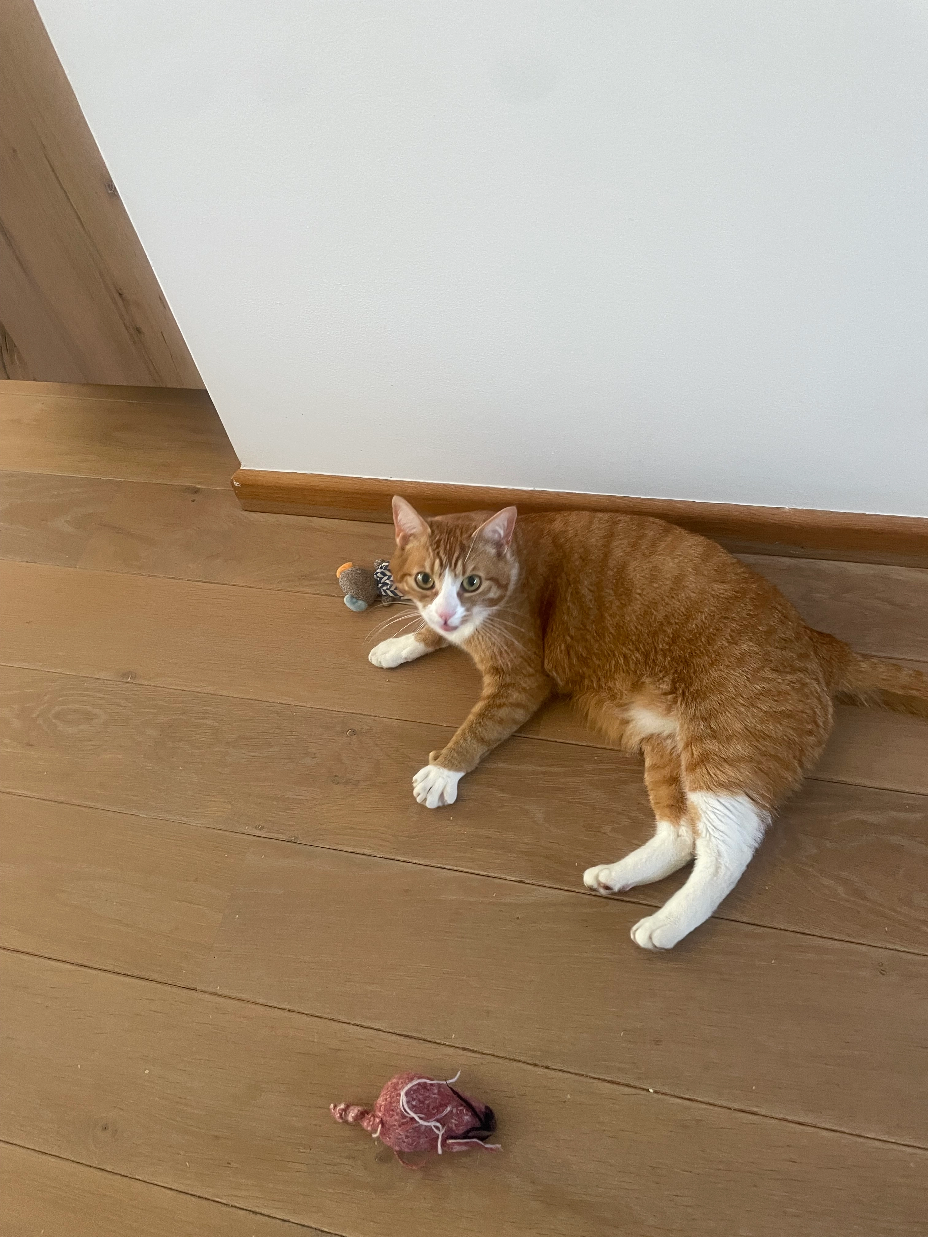 Easter - Bewestenwege, 's-Heer Arendskerke