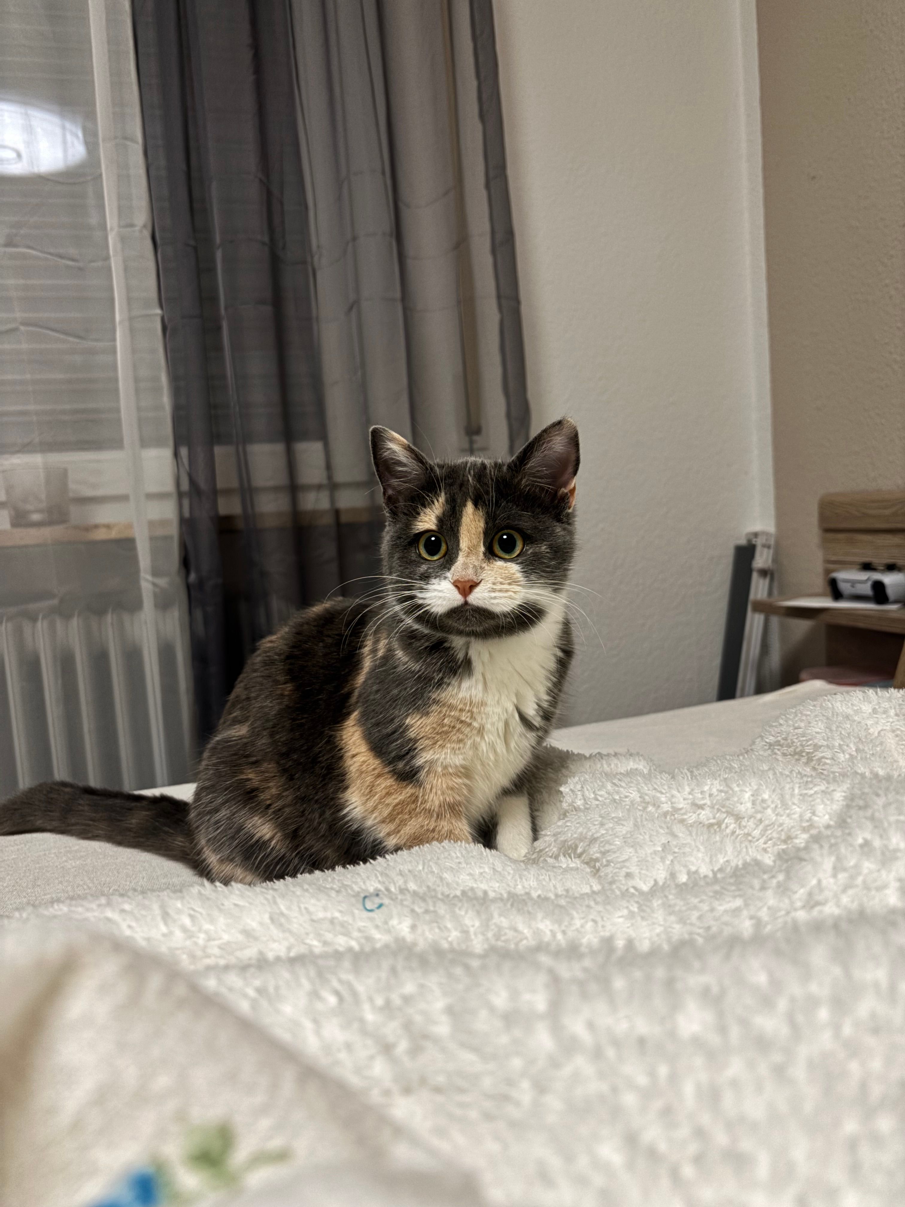 Luna - Adenauerstraße, Hilpoltstein