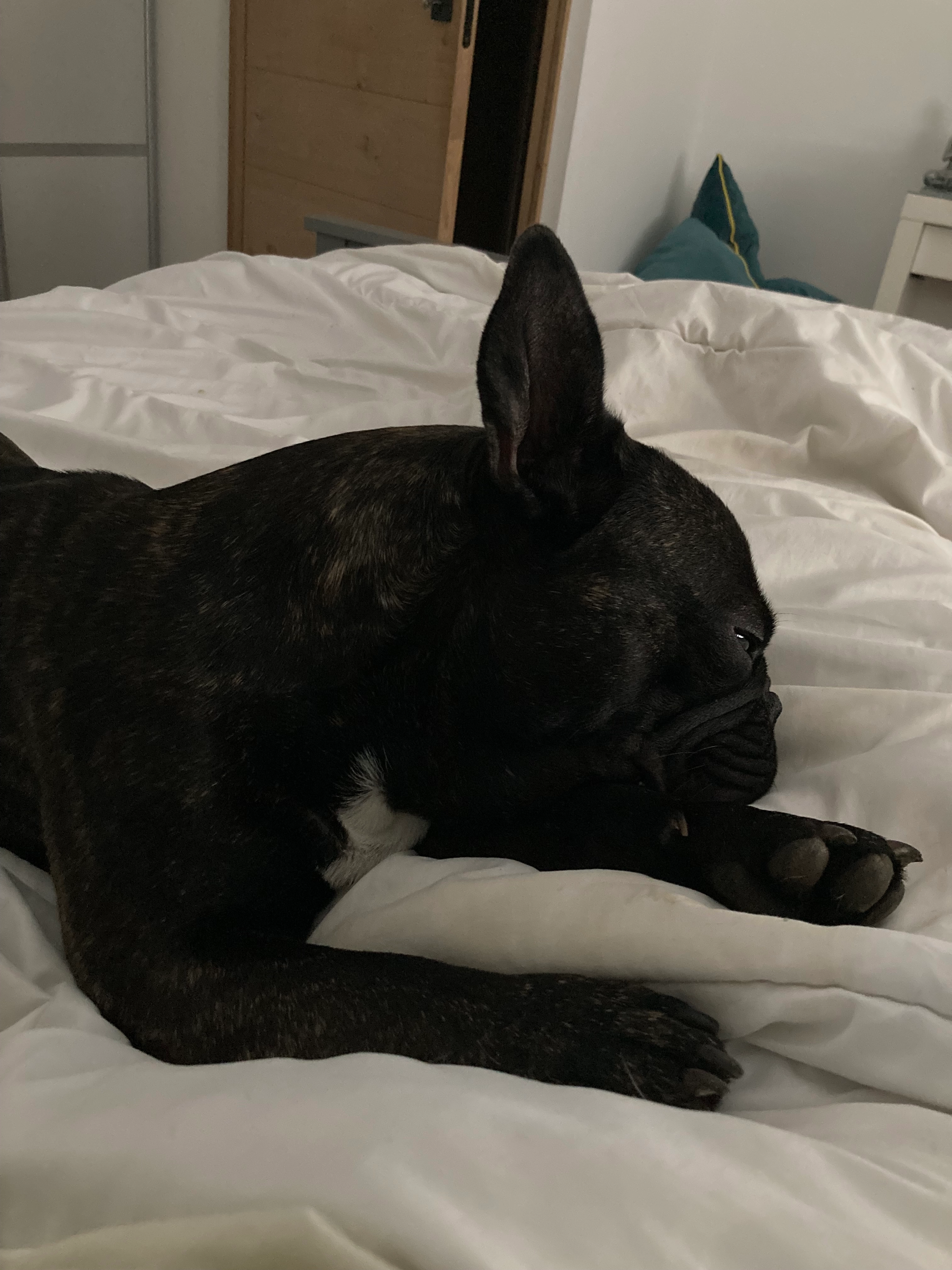 Unkut  - Rue Des Coquelicots, Tonnay-Charente