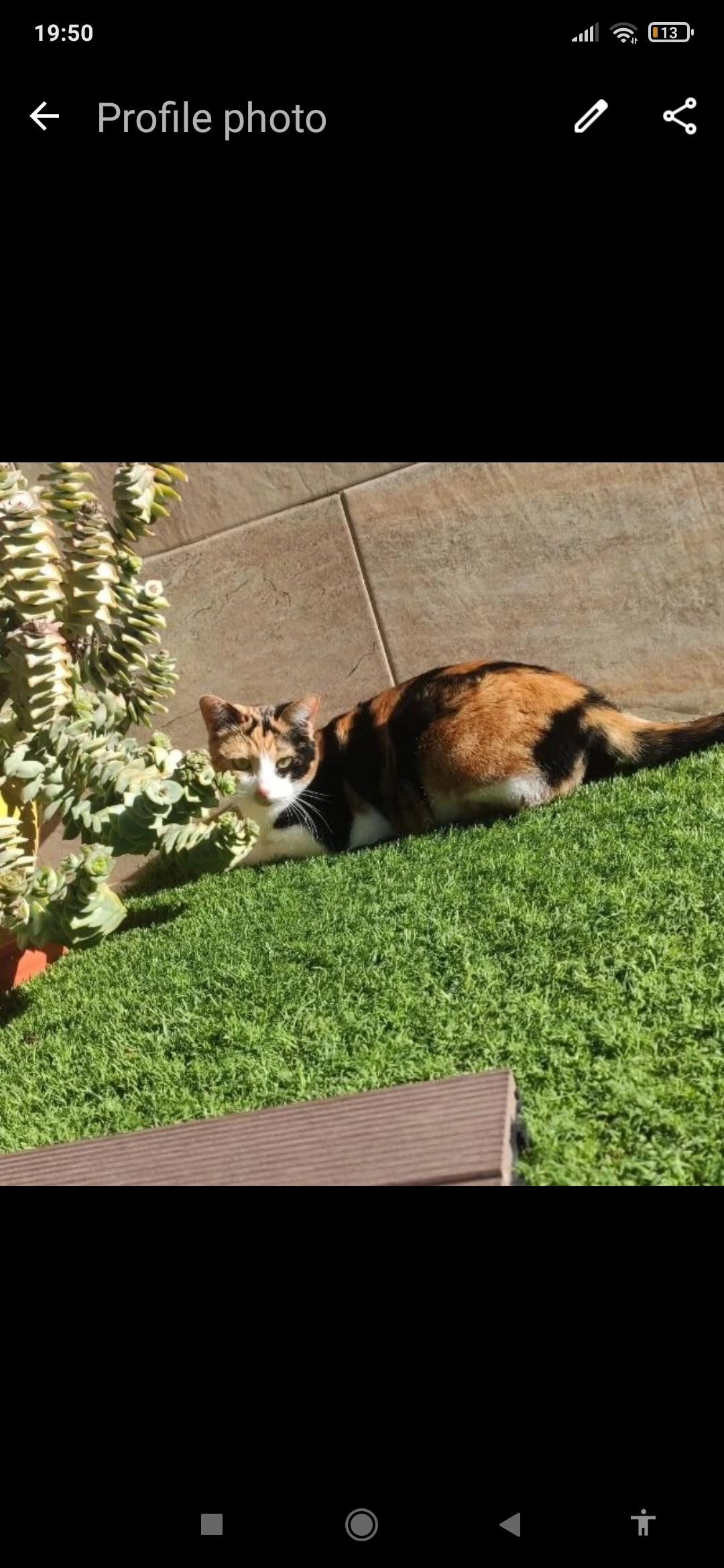 Kity - Calle Río Sil, San Javier