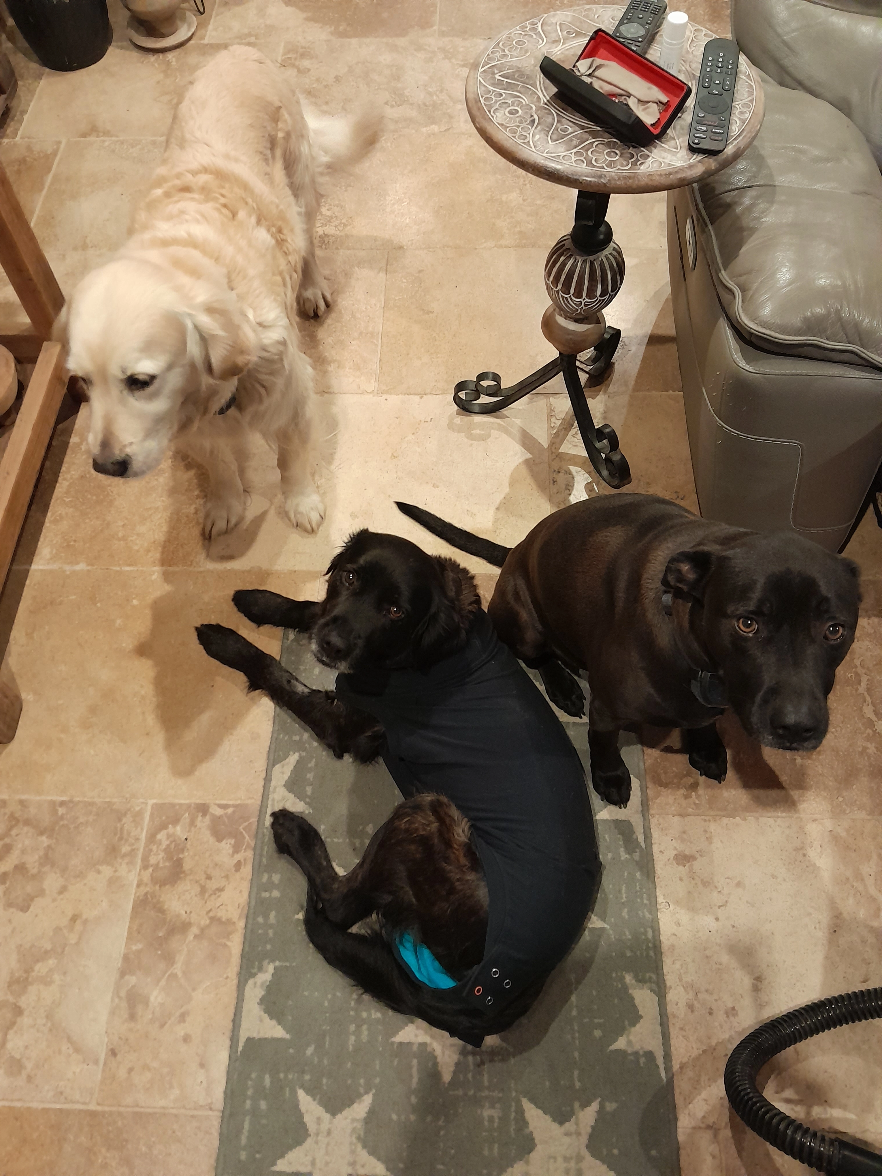 Maya et pakito - Saint-Bonnet-de-Galaure, Châteauneuf-de-Galaure