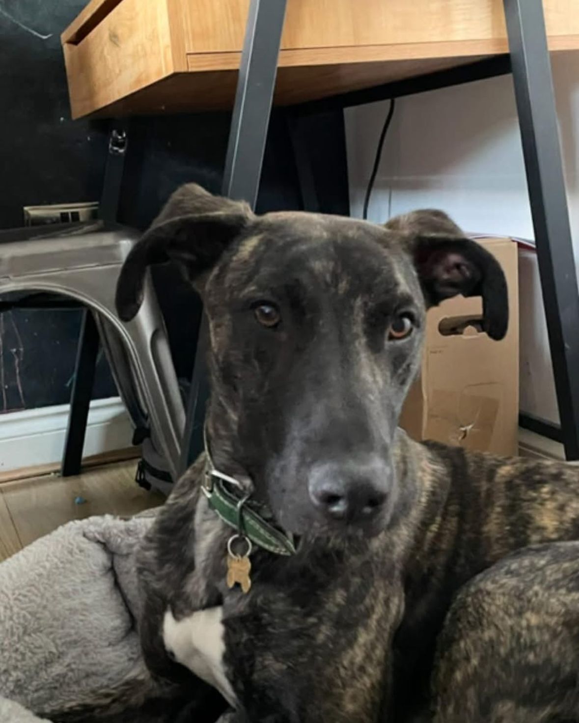 Search - Foggathorpe, Selby