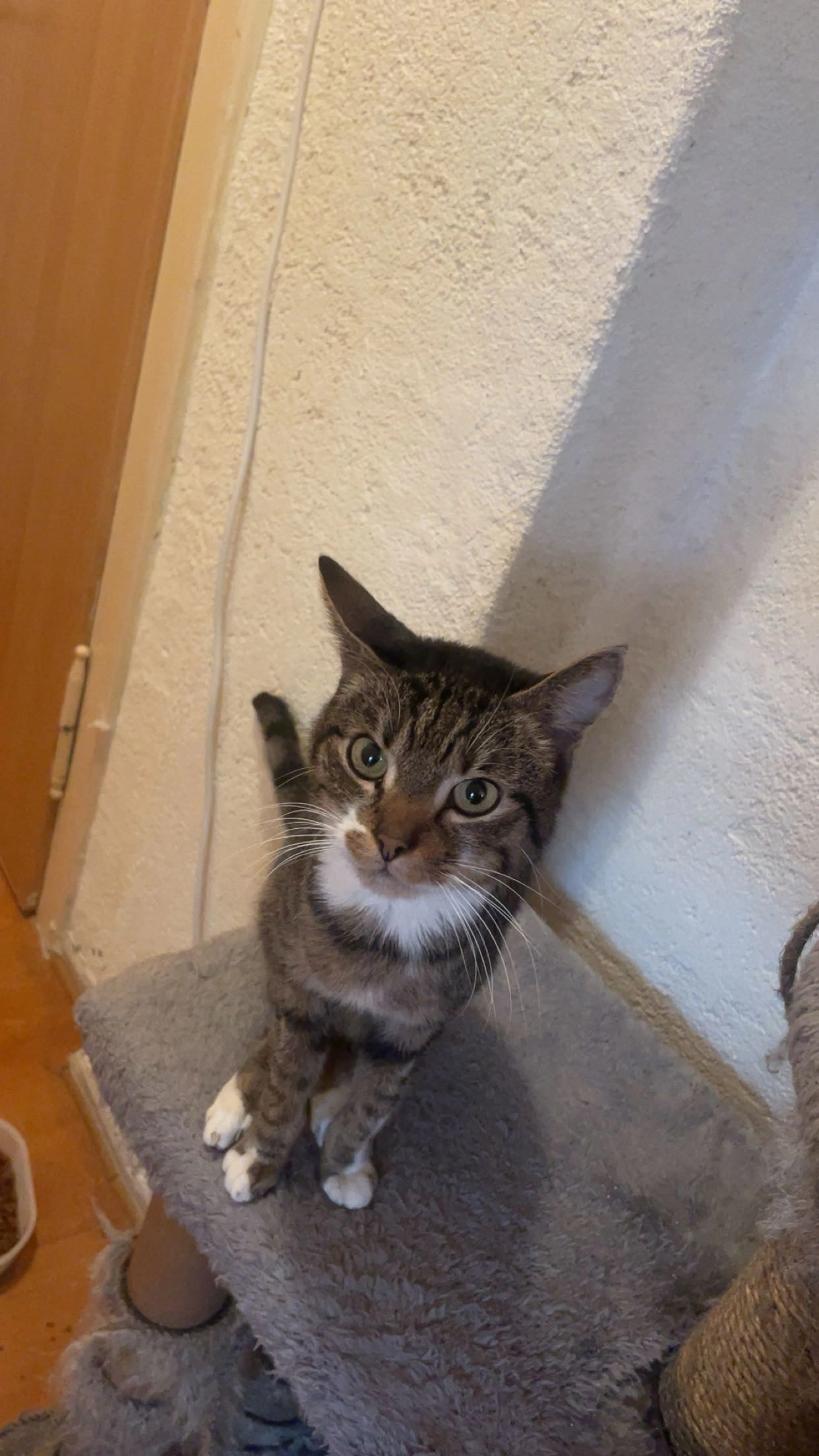 Felix - Pausaer Straße 44, Plauen