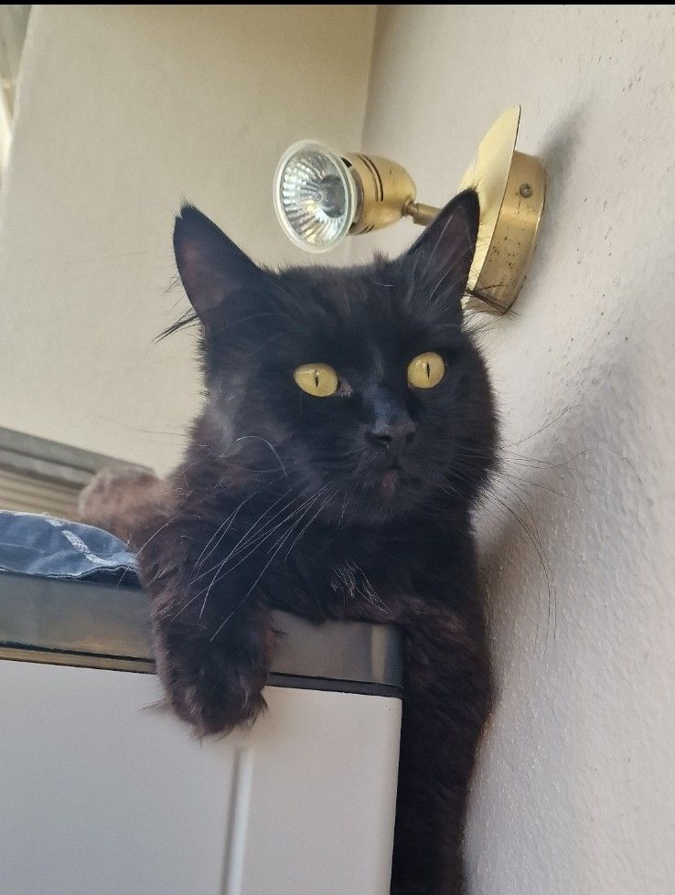 Puschok  - Schlesien Str 9, 91550 Dinkelsbühl 