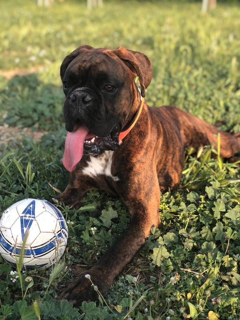 Wilson - Calle de la Calvestra, La Pobla de Vallbona