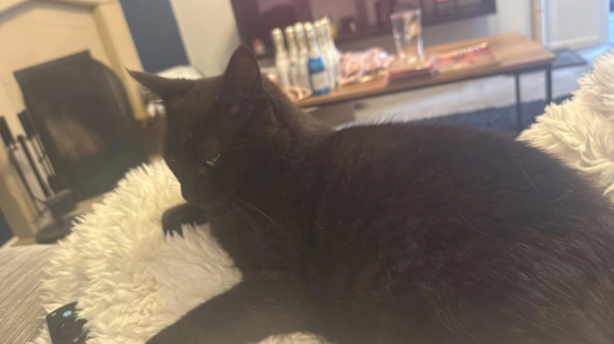 JJ - Miller Way, Huntingdon