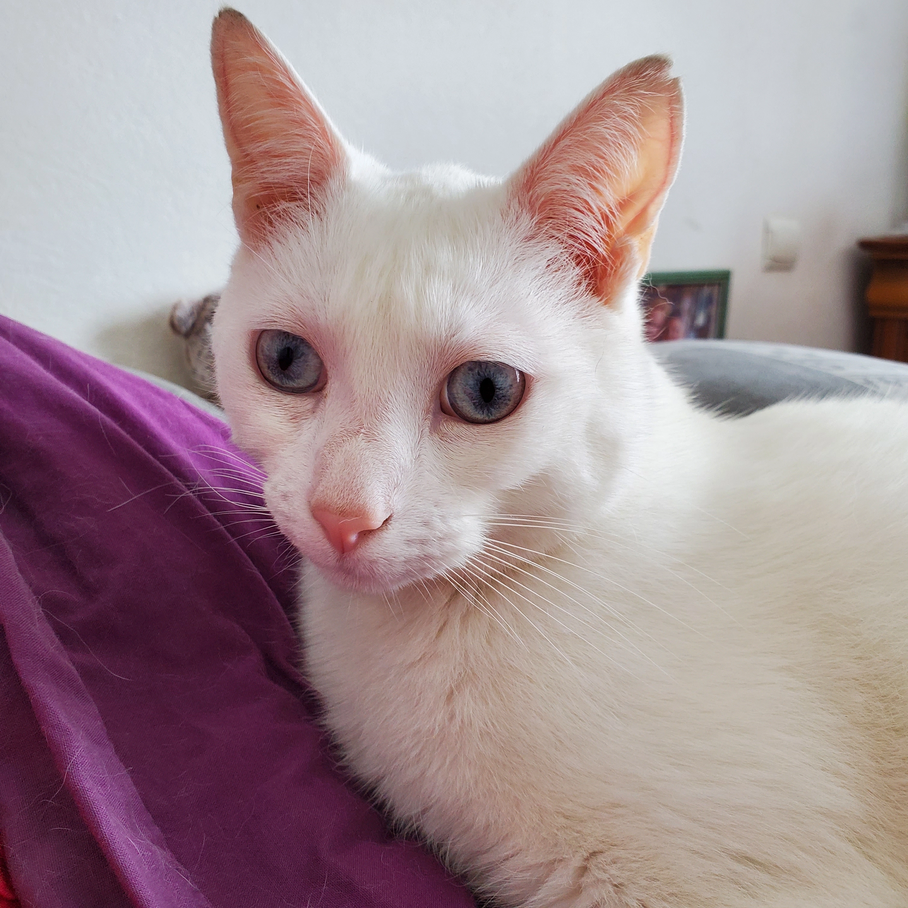 Lukki - 9P Rue René Moreau, Saint-Hilaire-de-Riez