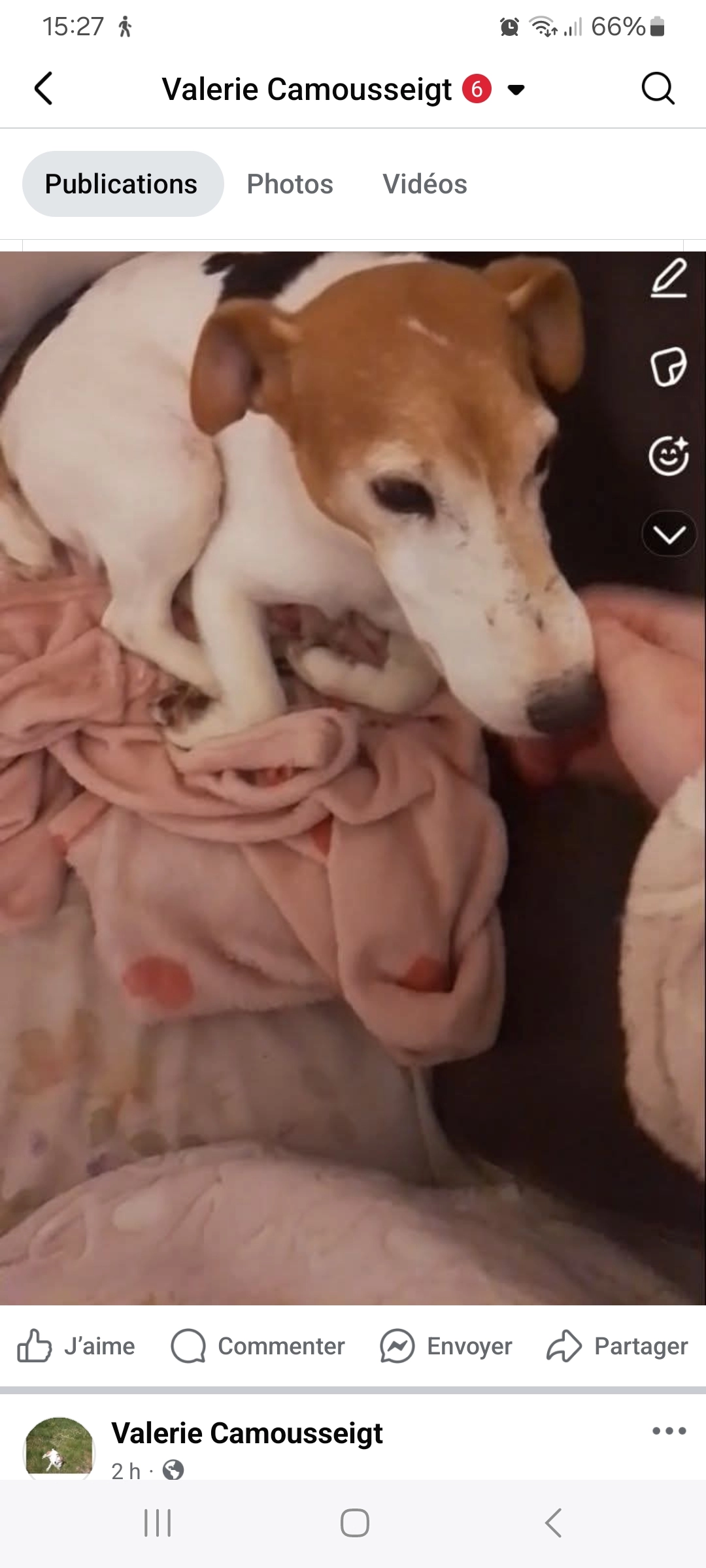 Pimkie - Chemin De Cantau, Langon