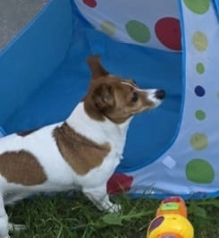 Nana - Chestnut Road, Southampton